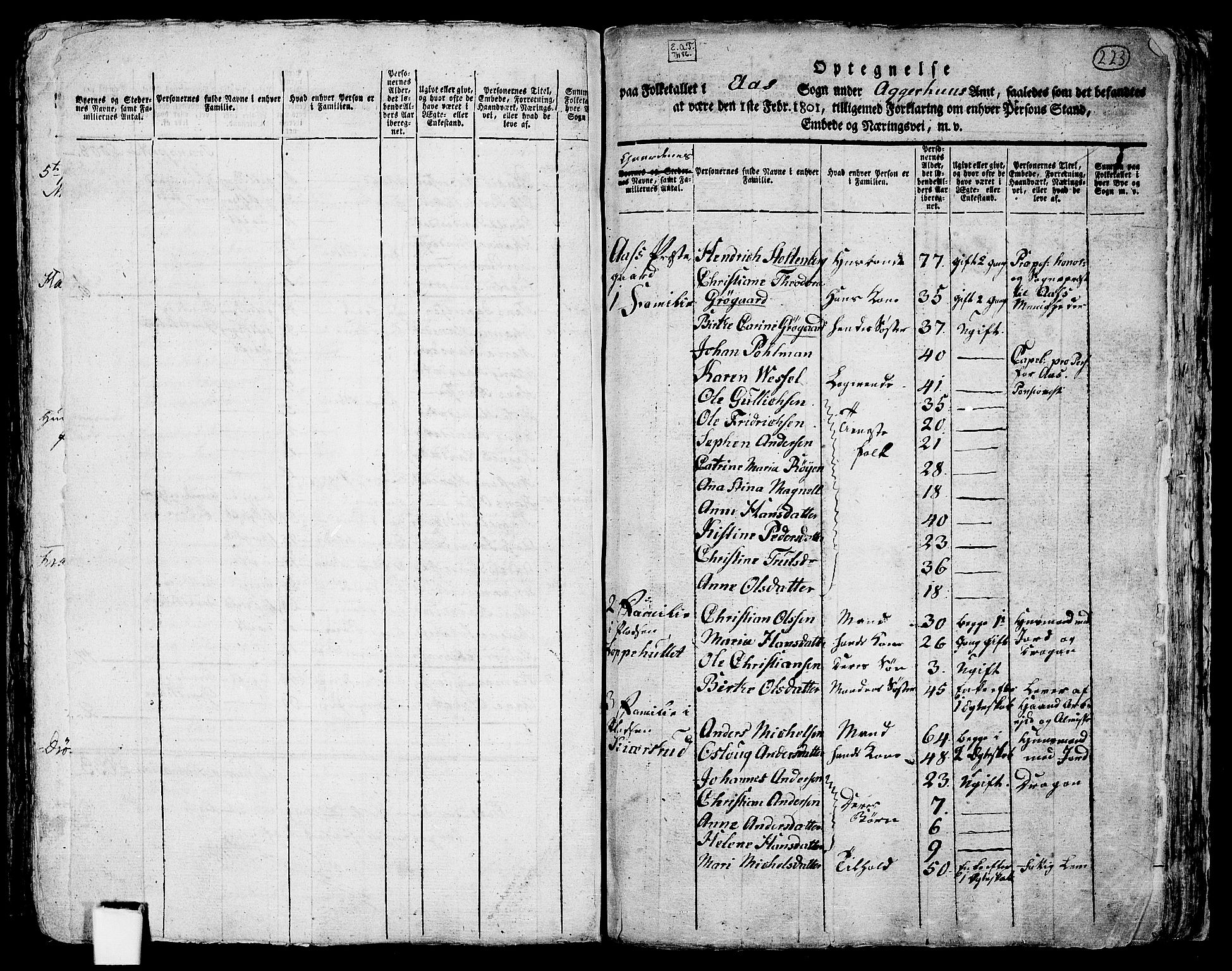 RA, 1801 census for 0214P Ås, 1801, p. 222b-223a