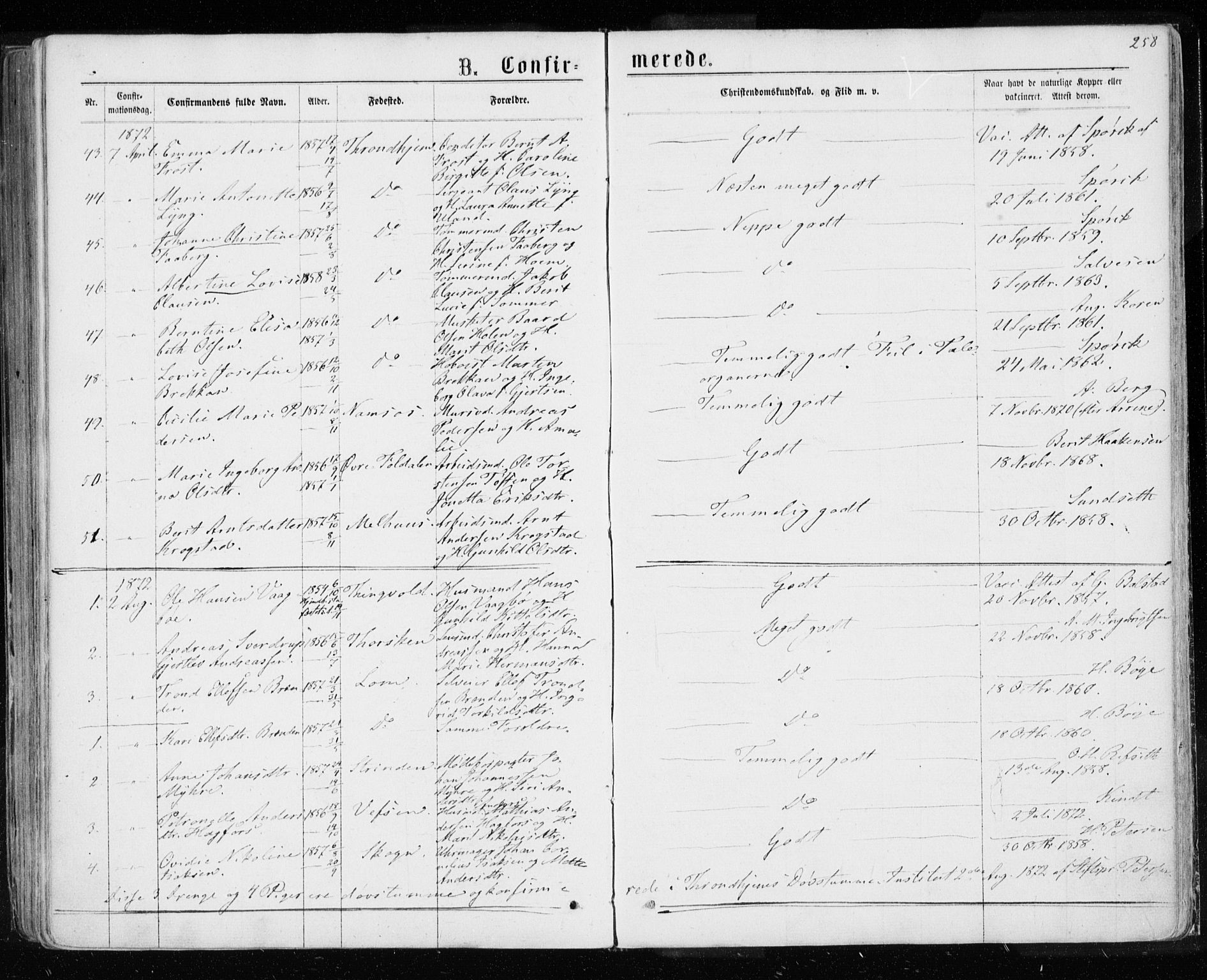 Ministerialprotokoller, klokkerbøker og fødselsregistre - Sør-Trøndelag, AV/SAT-A-1456/601/L0054: Parish register (official) no. 601A22, 1866-1877, p. 258