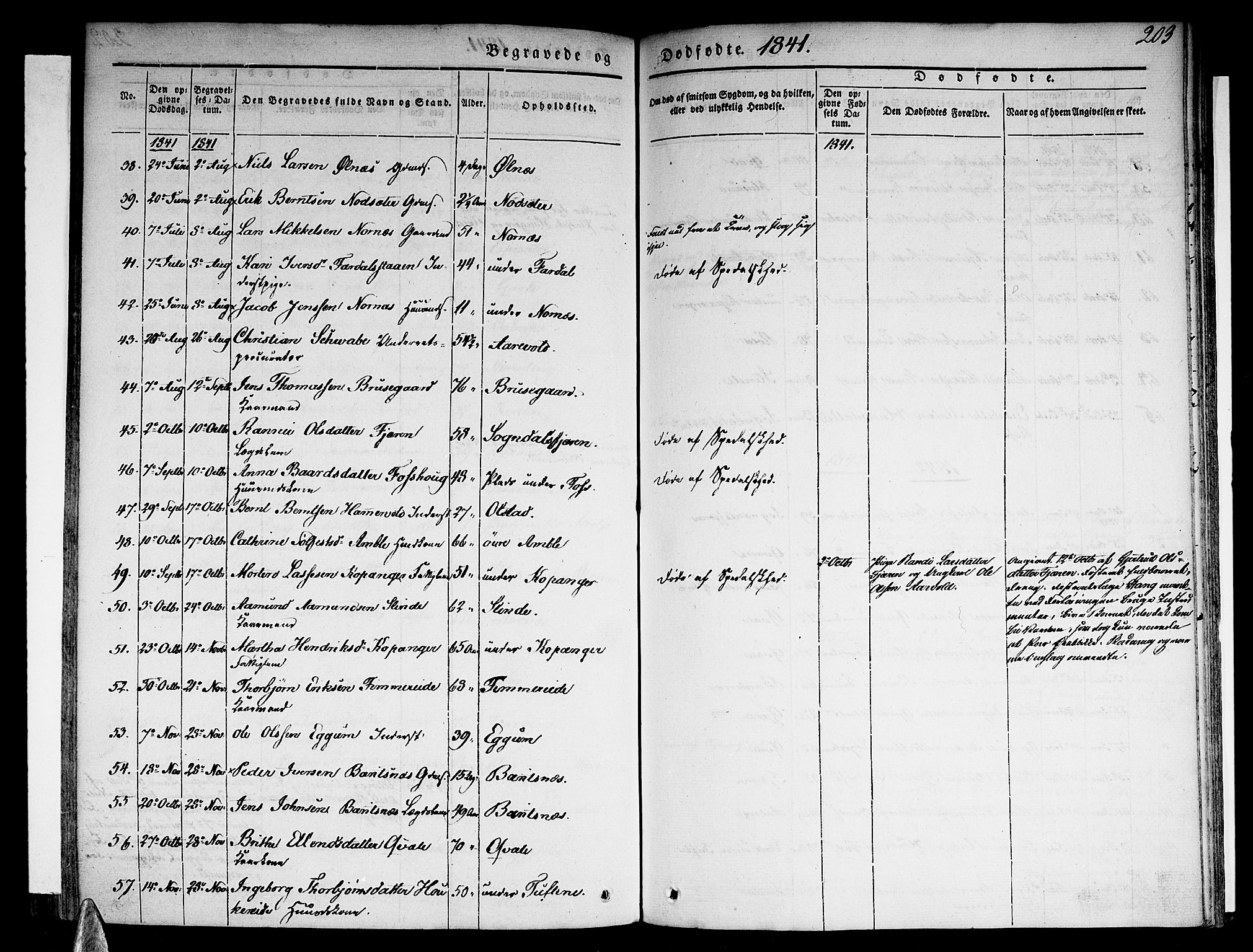 Sogndal sokneprestembete, SAB/A-81301/H/Haa/Haaa/L0011: Parish register (official) no. A 11, 1839-1847, p. 203
