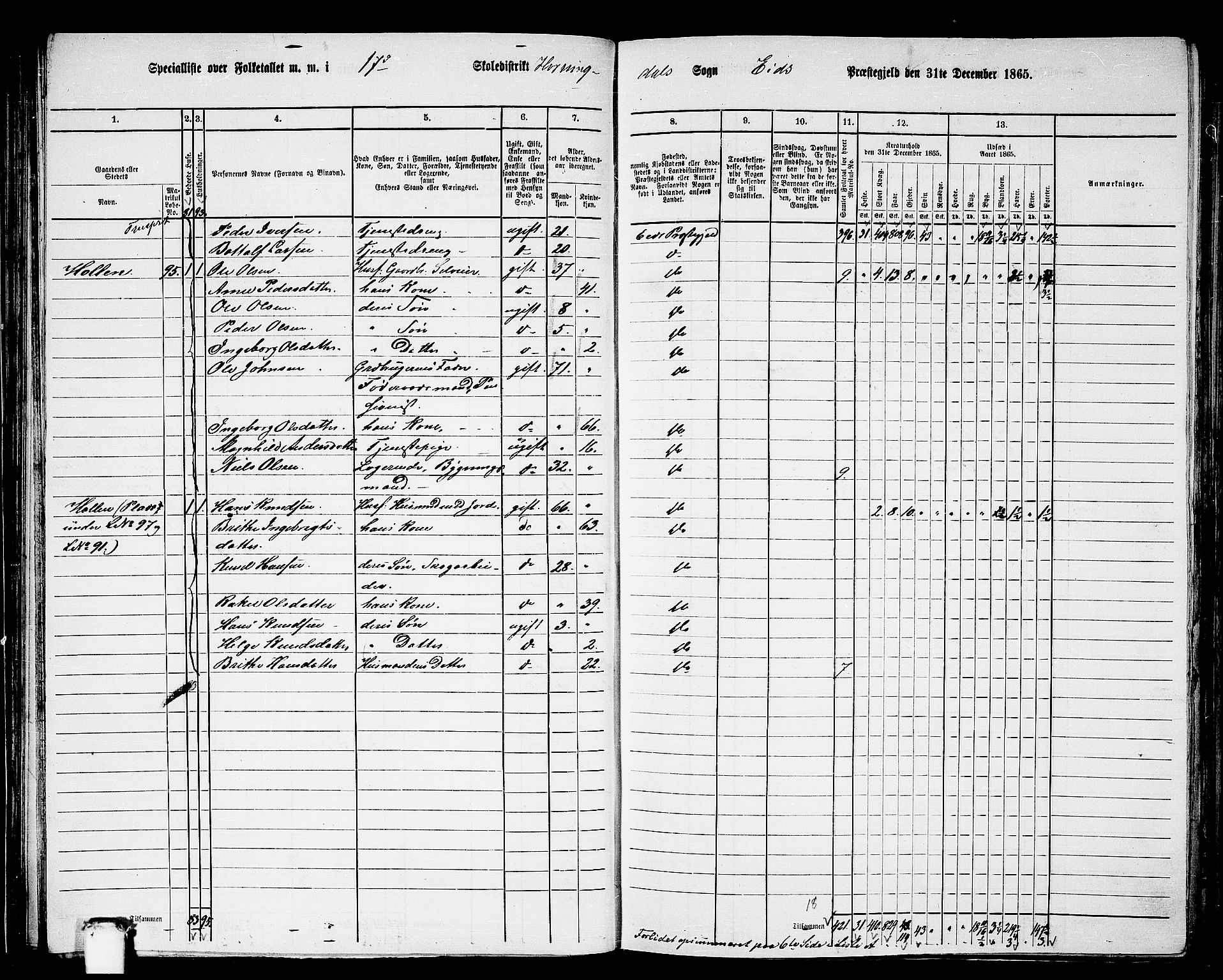 RA, 1865 census for Eid, 1865, p. 61