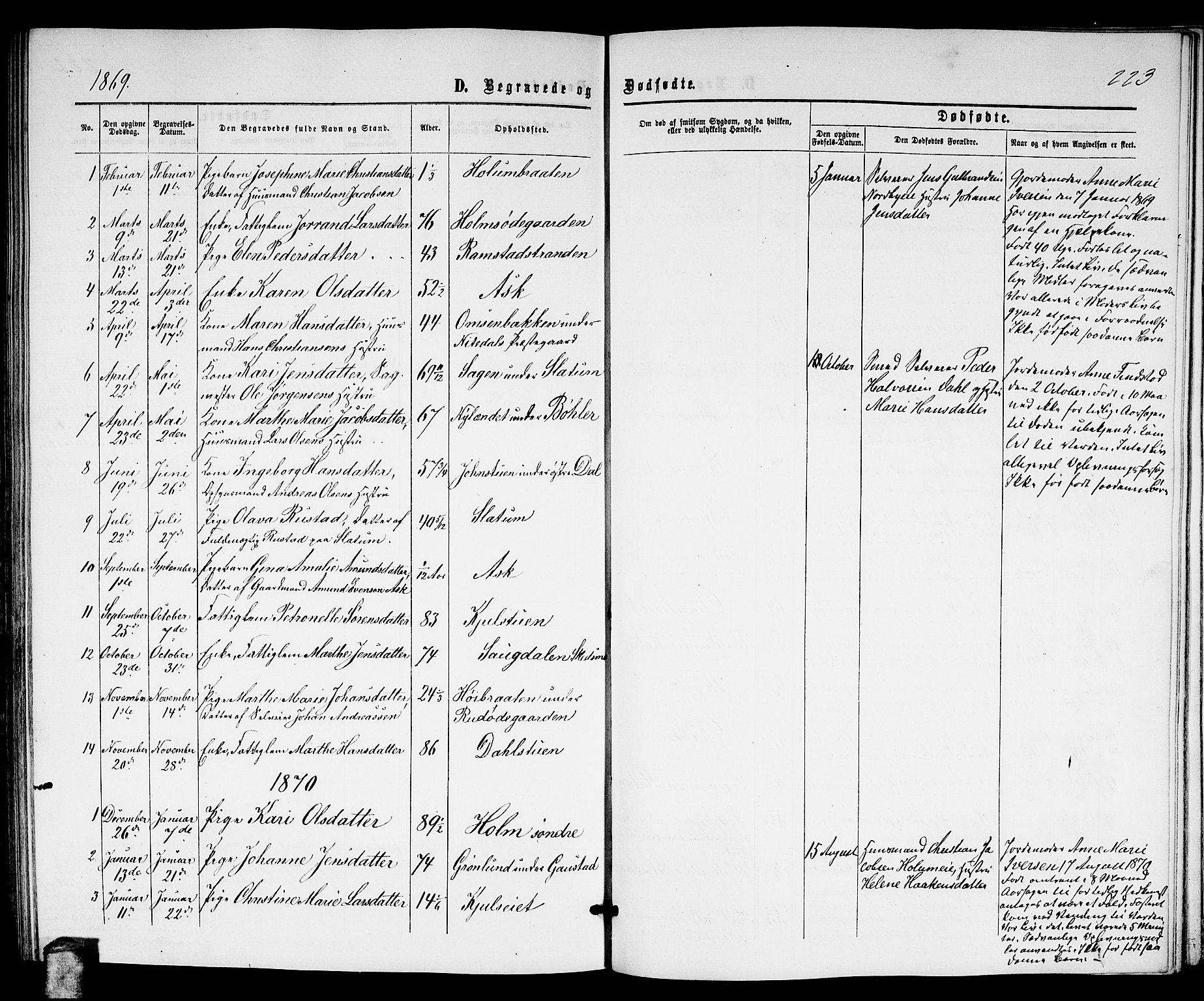 Nittedal prestekontor Kirkebøker, AV/SAO-A-10365a/G/Ga/L0001: Parish register (copy) no. I 1, 1859-1878, p. 223