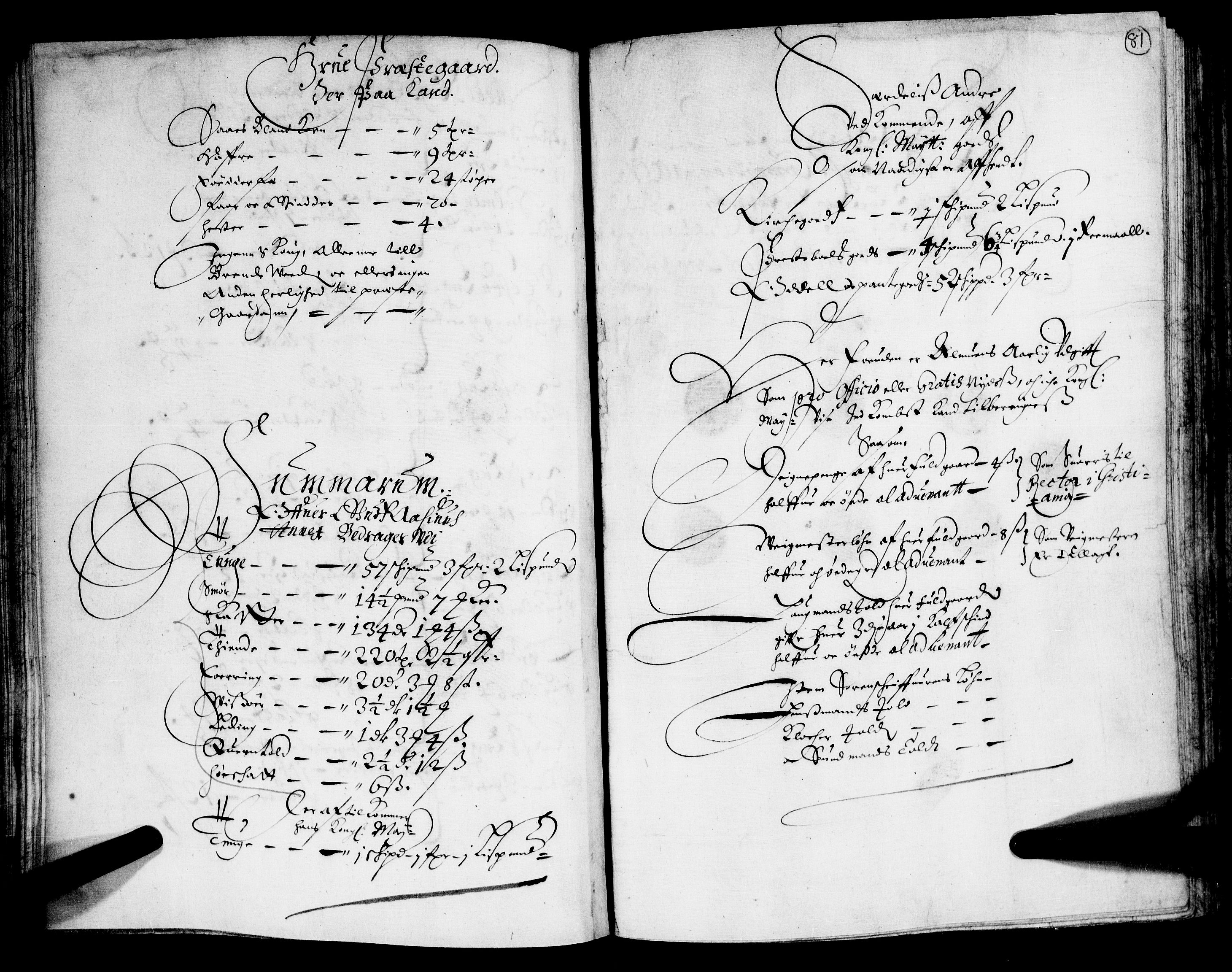 Rentekammeret inntil 1814, Realistisk ordnet avdeling, RA/EA-4070/N/Nb/Nba/L0011: Odal, Solør og Østerdalen fogderi, 1667, p. 80b-81a