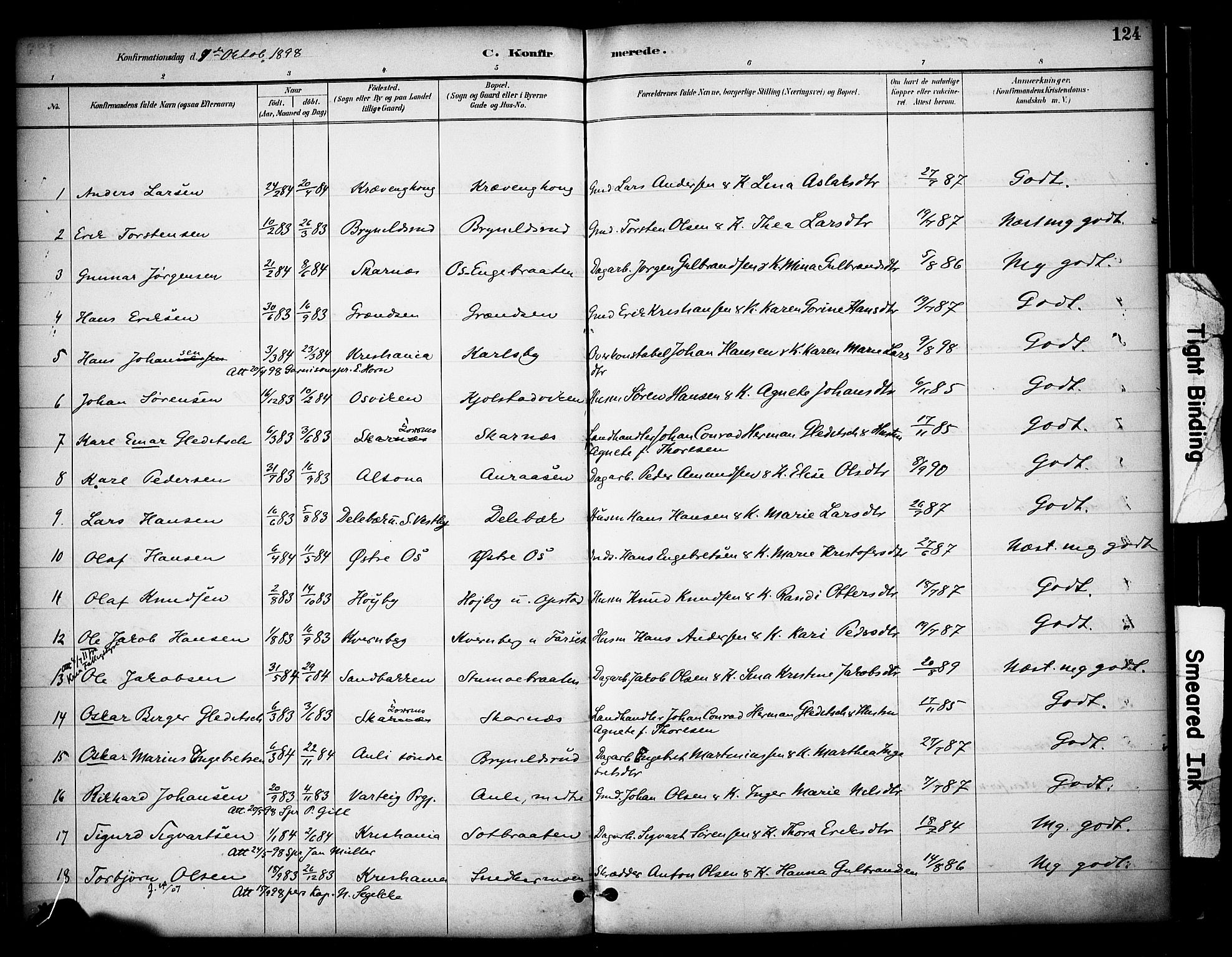 Sør-Odal prestekontor, AV/SAH-PREST-030/H/Ha/Haa/L0009: Parish register (official) no. 9, 1886-1926, p. 124