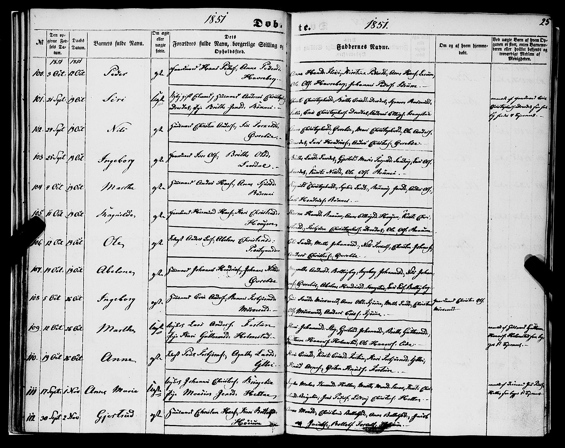 Luster sokneprestembete, SAB/A-81101/H/Haa/Haaa/L0007: Parish register (official) no. A 7, 1849-1859, p. 25