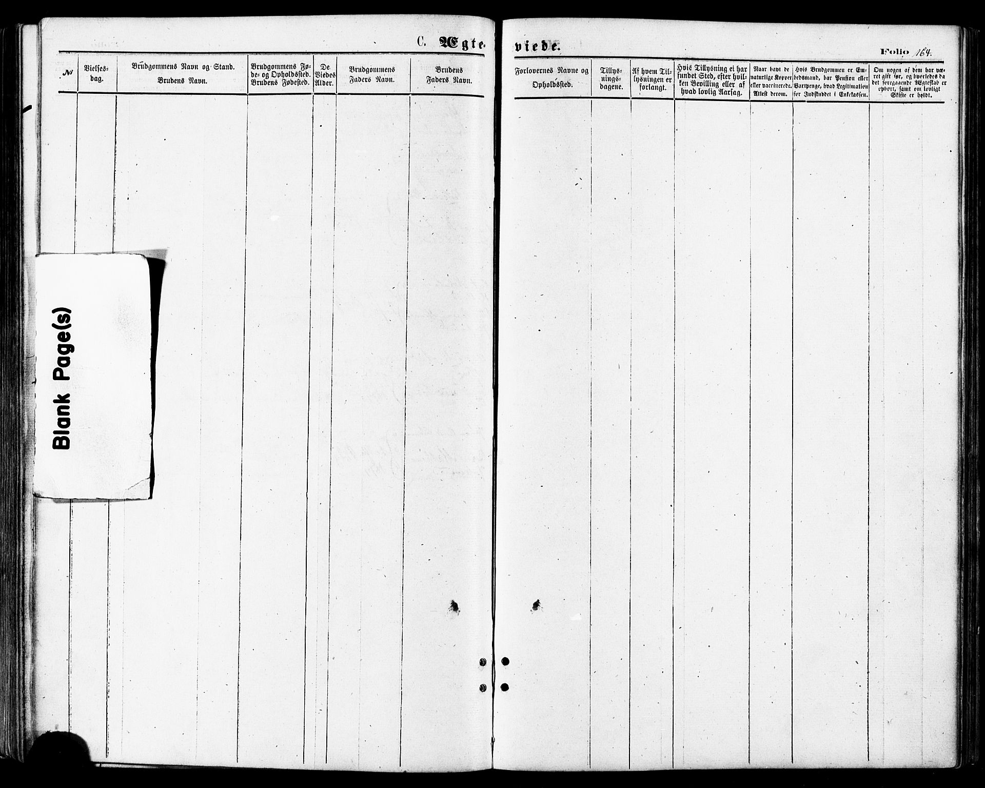 Lenvik sokneprestembete, AV/SATØ-S-1310/H/Ha/Haa/L0010kirke: Parish register (official) no. 10, 1873-1880, p. 164