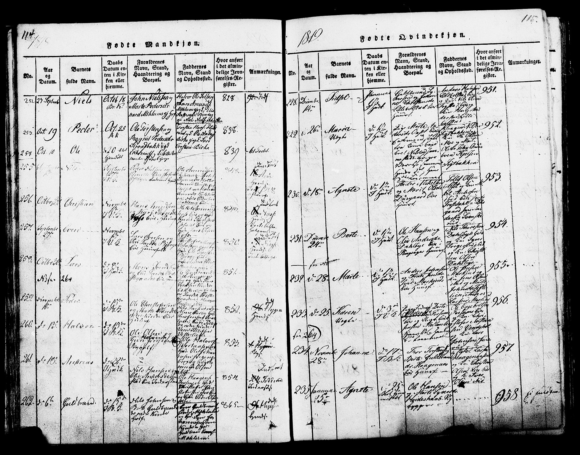 Ringsaker prestekontor, AV/SAH-PREST-014/K/Ka/L0005: Parish register (official) no. 5, 1814-1826, p. 114-115