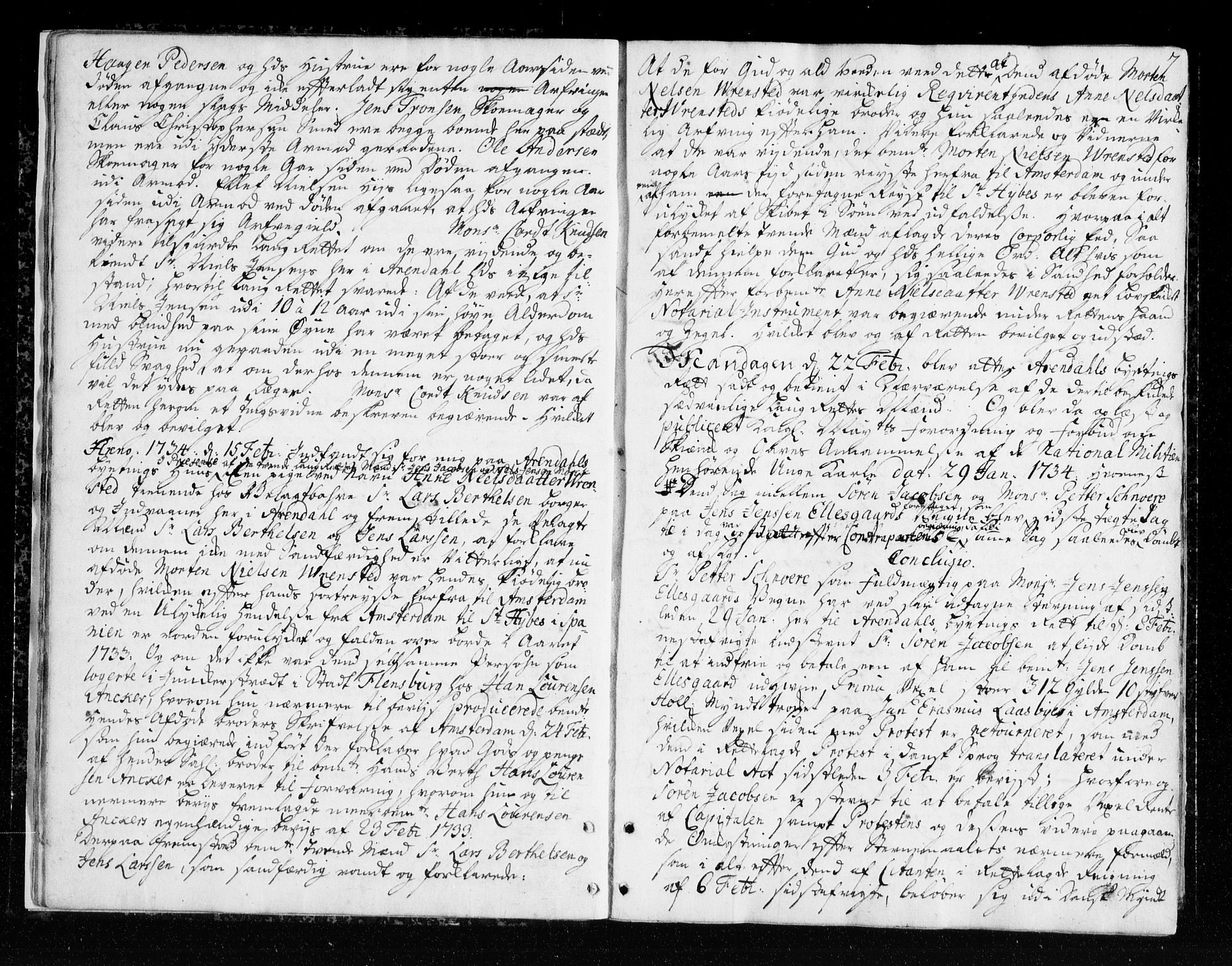 Arendal byfogd, AV/SAK-1222-0001/F/Fa/L0006: Justisprotokoll for Arendal og Risør, 1734-1736, p. 6b-7a