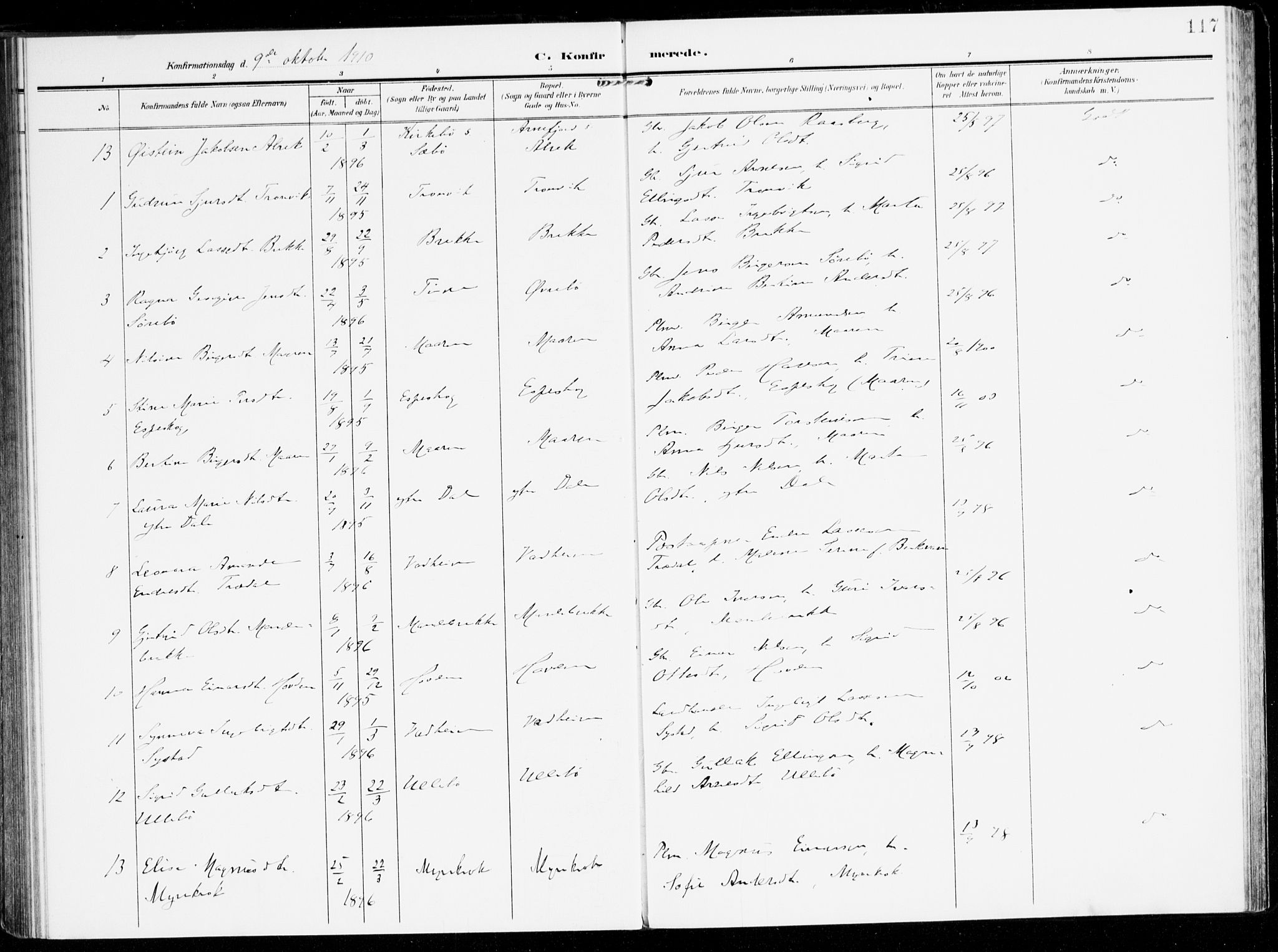 Lavik sokneprestembete, AV/SAB-A-80901: Parish register (official) no. C 2, 1904-1921, p. 117