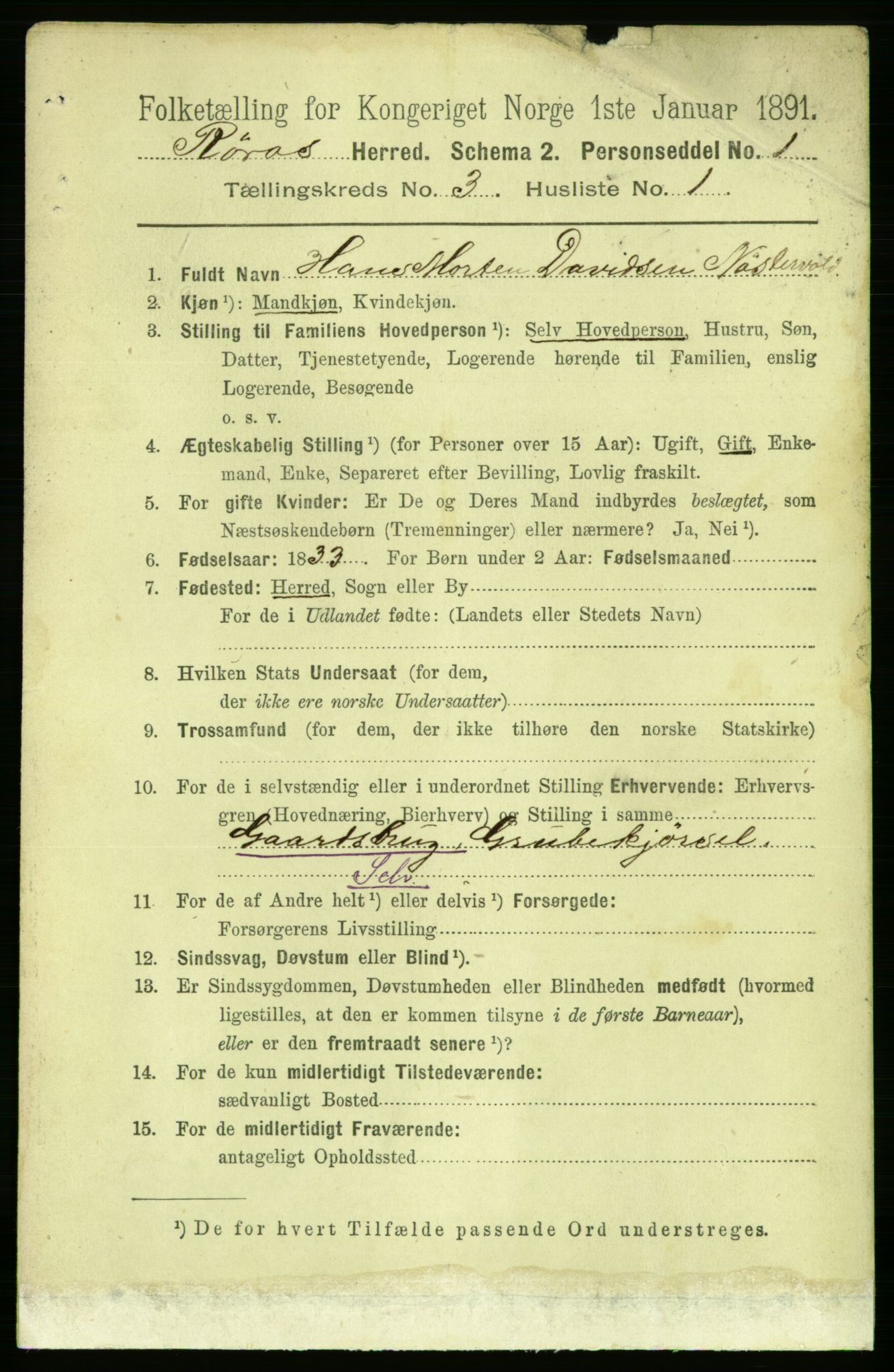 RA, 1891 census for 1640 Røros, 1891, p. 524