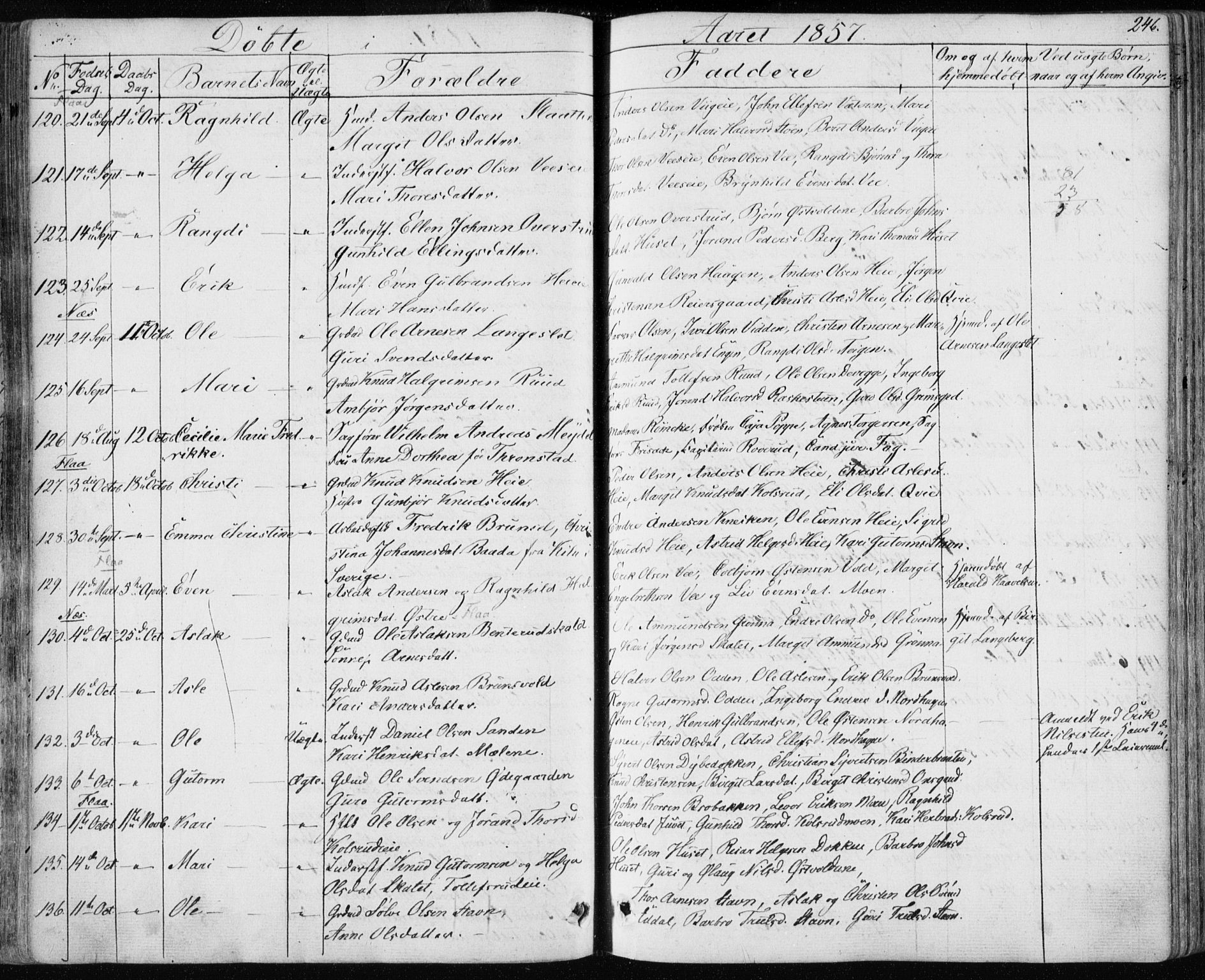 Nes kirkebøker, AV/SAKO-A-236/F/Fa/L0009: Parish register (official) no. 9, 1834-1863, p. 246