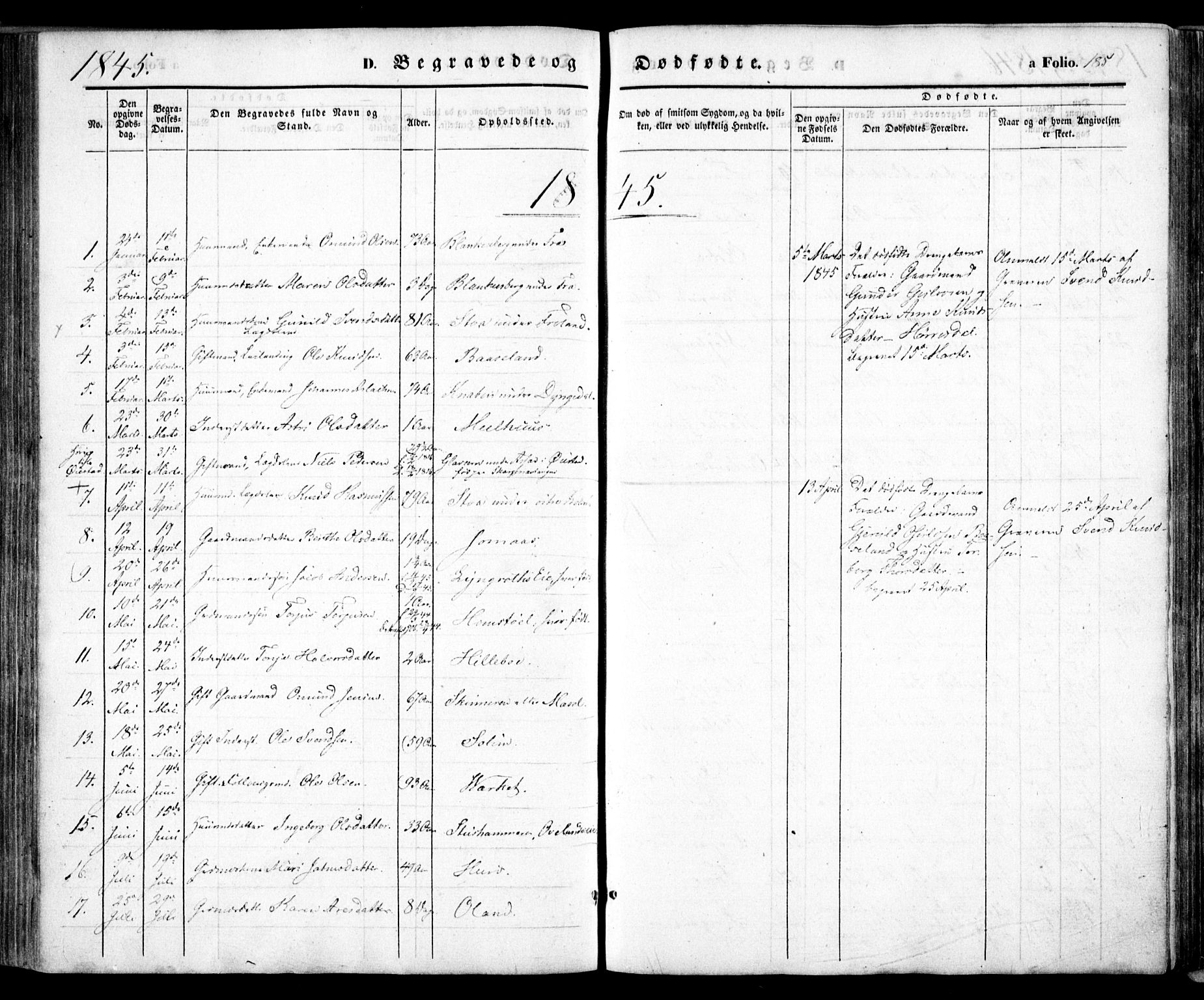 Froland sokneprestkontor, SAK/1111-0013/F/Fa/L0002: Parish register (official) no. A 2, 1845-1863, p. 185