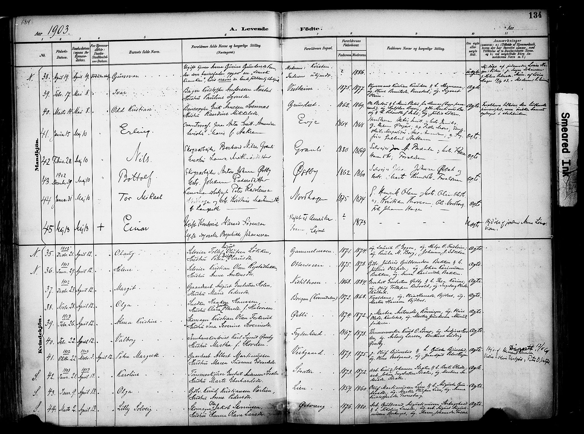 Elverum prestekontor, SAH/PREST-044/H/Ha/Haa/L0014: Parish register (official) no. 14, 1891-1909, p. 134