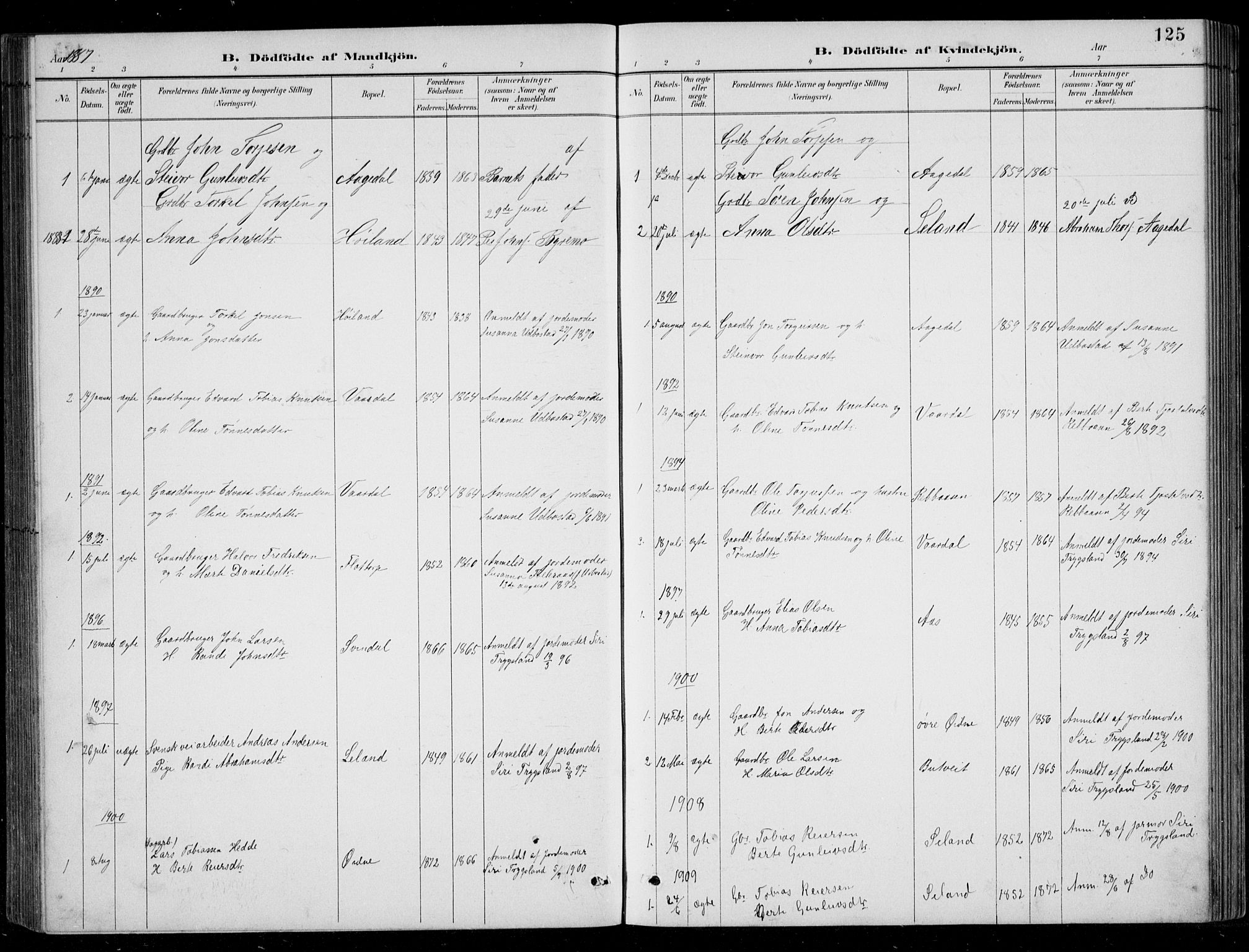Bjelland sokneprestkontor, SAK/1111-0005/F/Fb/Fbc/L0003: Parish register (copy) no. B 3, 1887-1924, p. 125
