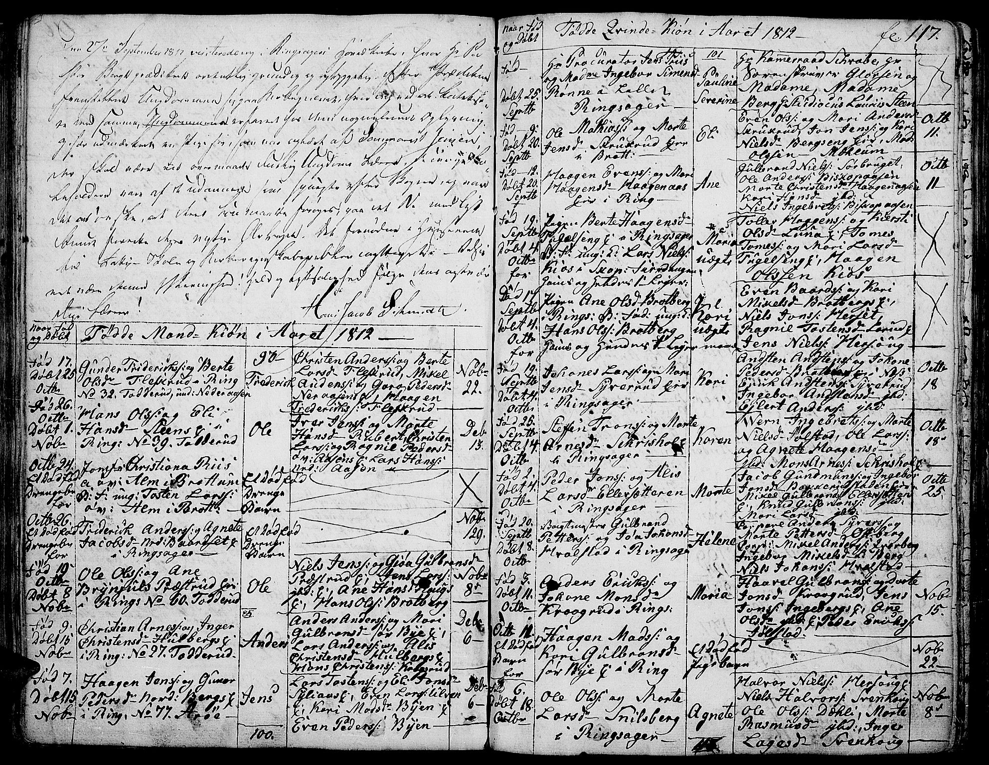 Ringsaker prestekontor, AV/SAH-PREST-014/K/Ka/L0004: Parish register (official) no. 4, 1799-1814, p. 117