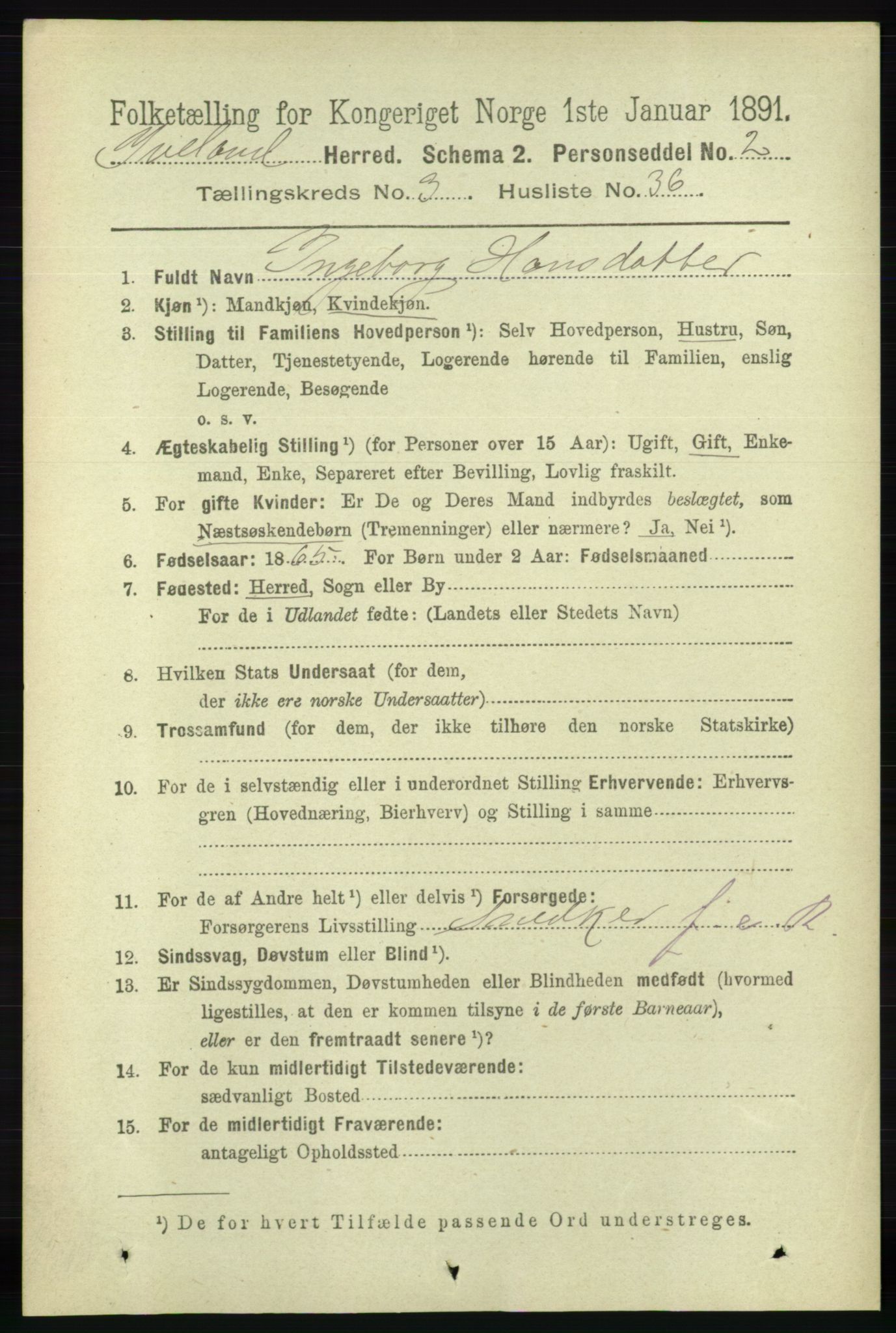 RA, 1891 census for 0935 Iveland, 1891, p. 973