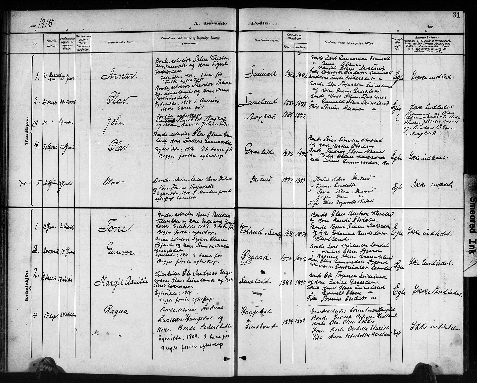 Holum sokneprestkontor, AV/SAK-1111-0022/F/Fb/Fbb/L0004: Parish register (copy) no. B 4, 1899-1920, p. 31