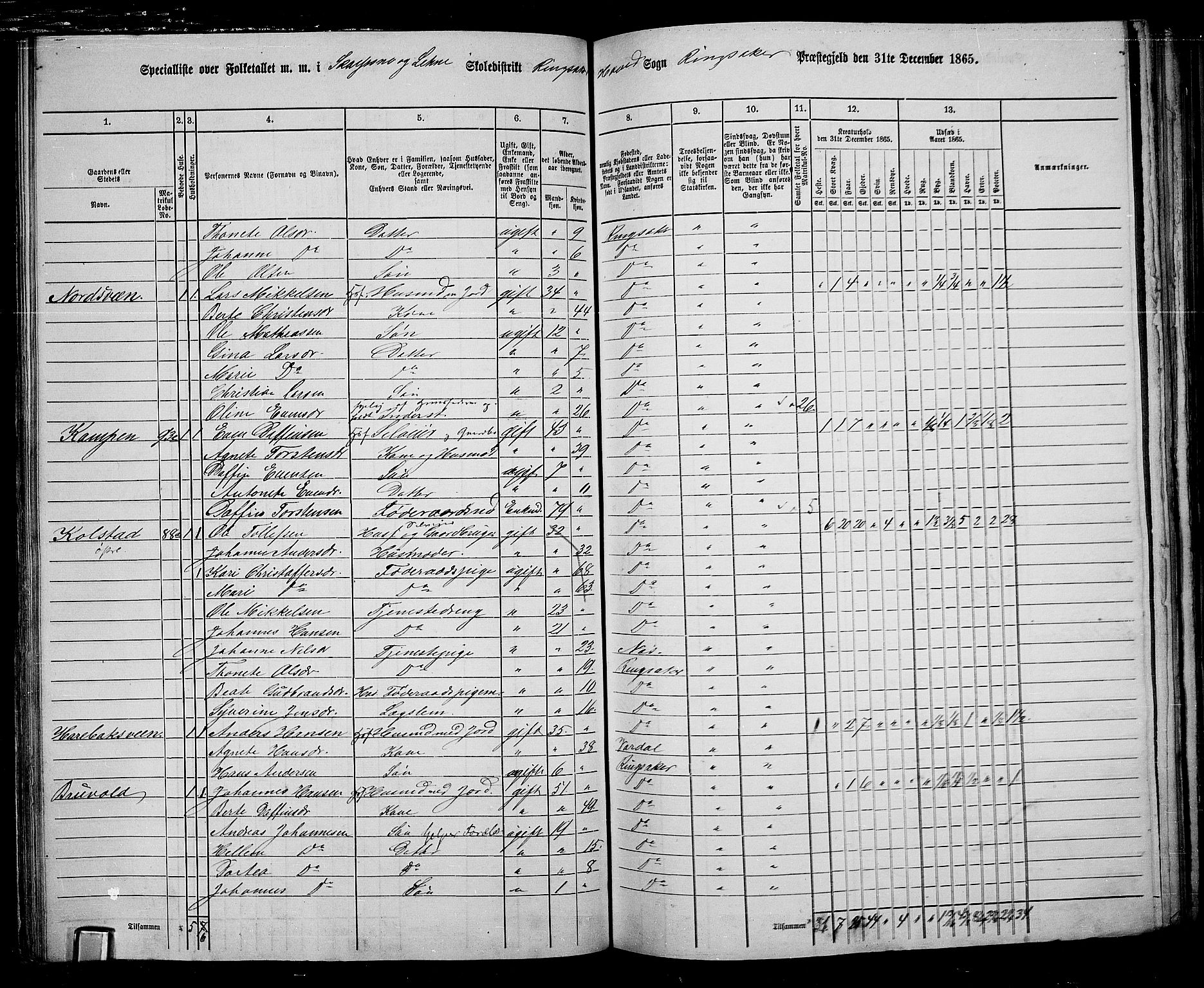 RA, 1865 census for Ringsaker, 1865, p. 123