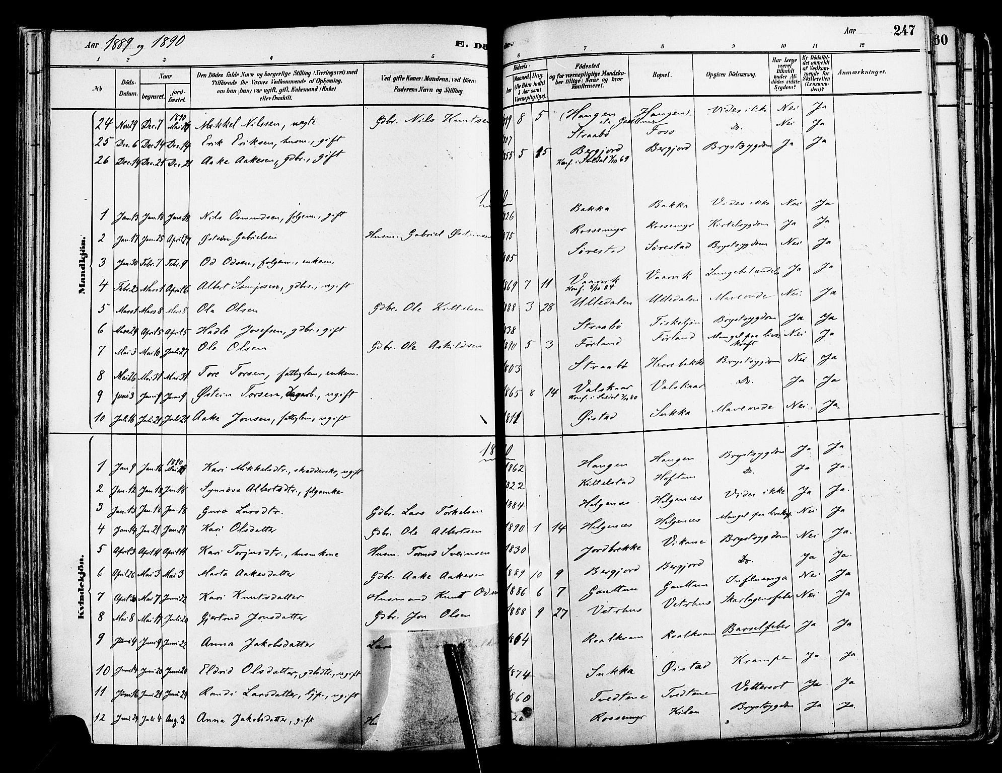 Suldal sokneprestkontor, AV/SAST-A-101845/01/IV/L0011: Parish register (official) no. A 11, 1878-1900, p. 247