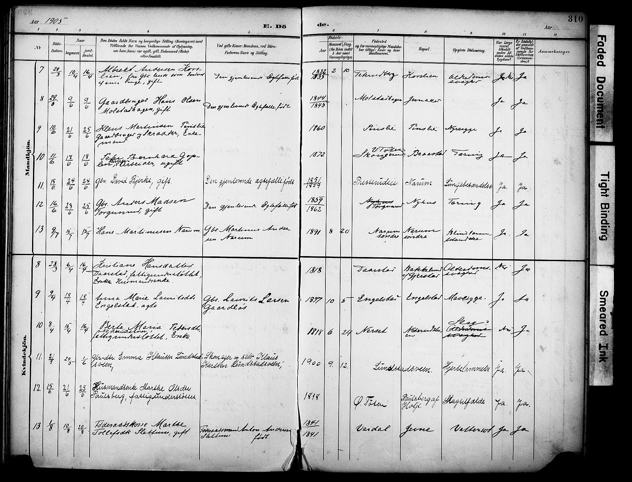Vestre Toten prestekontor, SAH/PREST-108/H/Ha/Haa/L0013: Parish register (official) no. 13, 1895-1911, p. 310