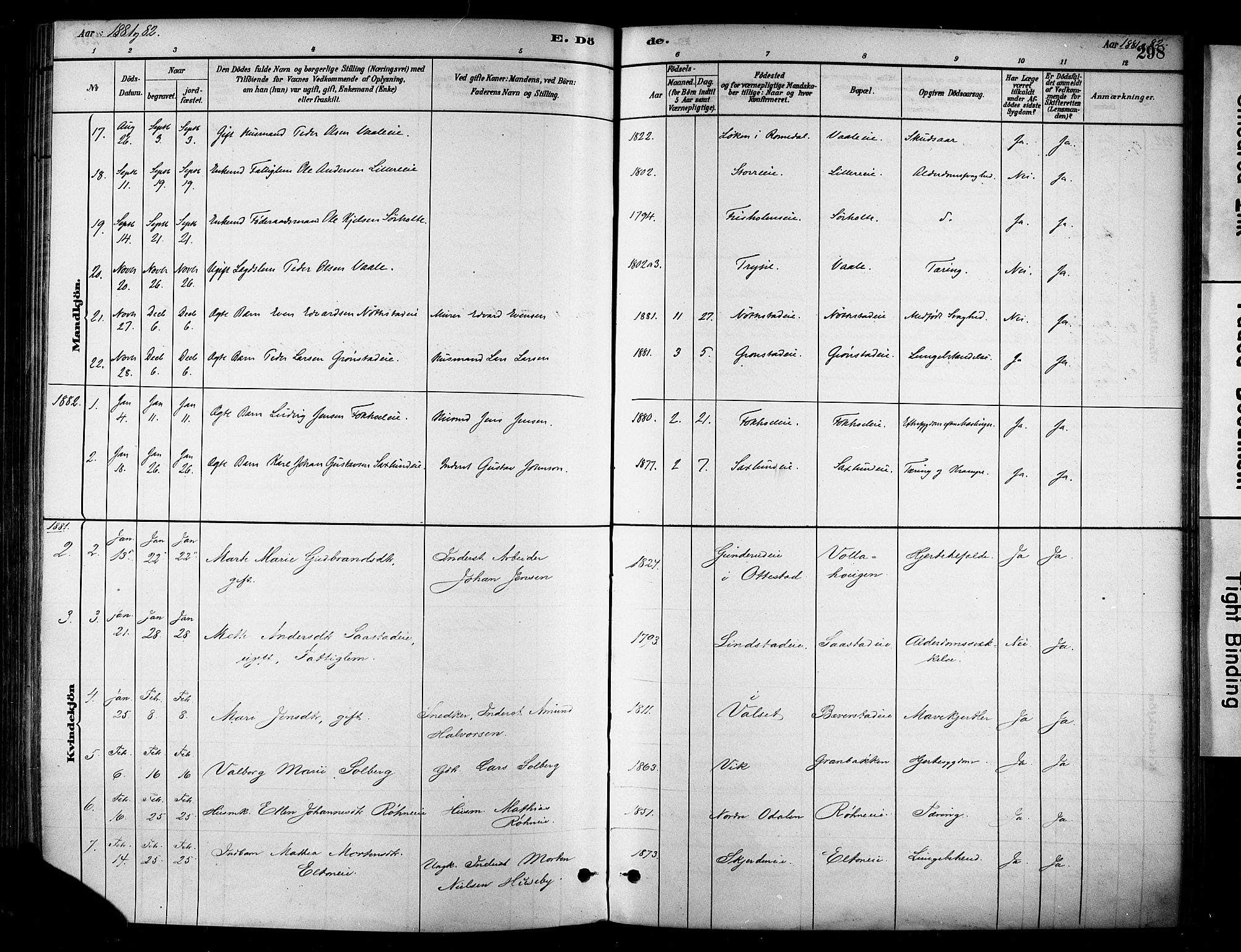 Stange prestekontor, SAH/PREST-002/K/L0017: Parish register (official) no. 17, 1880-1893, p. 298
