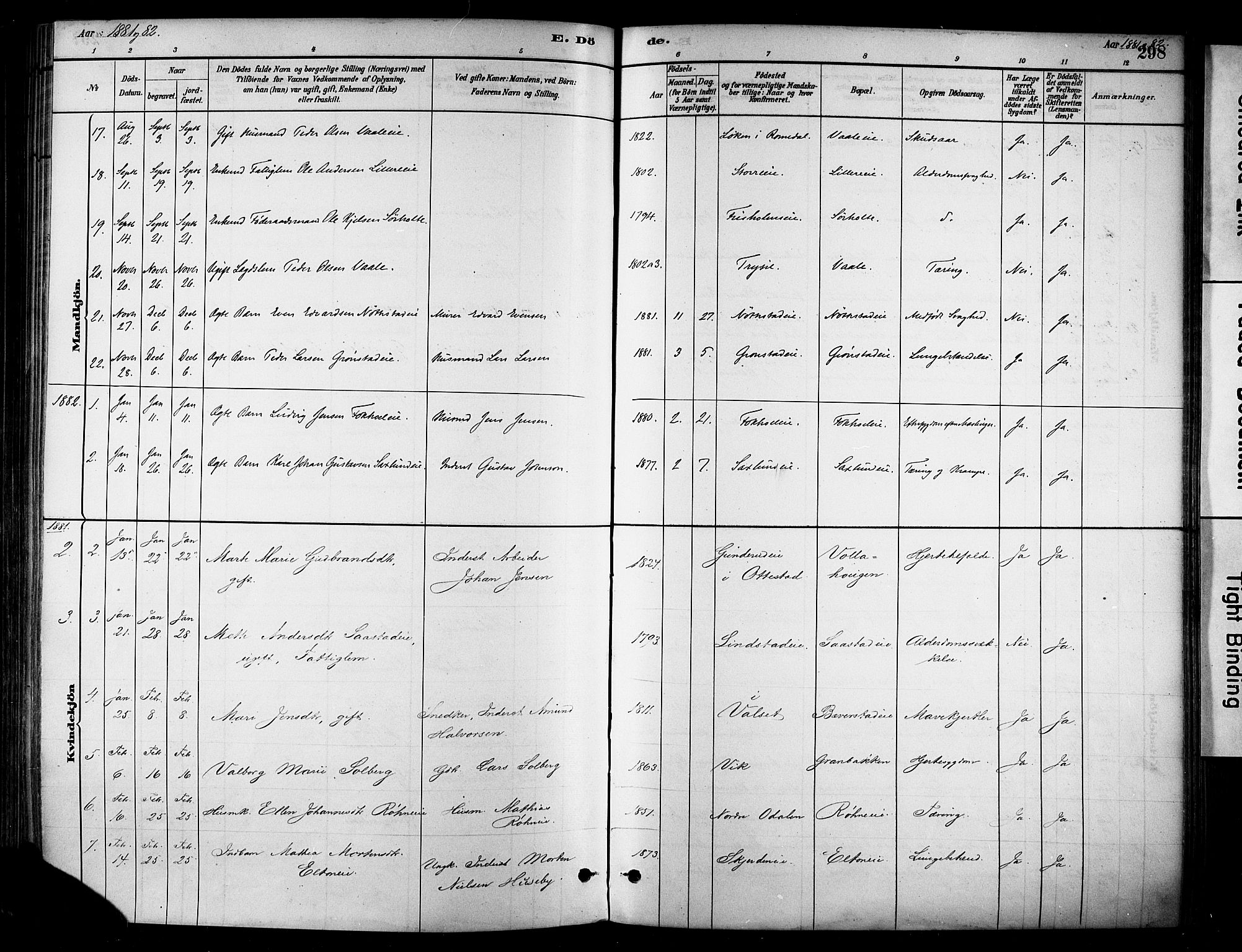 Stange prestekontor, AV/SAH-PREST-002/K/L0017: Parish register (official) no. 17, 1880-1893, p. 298