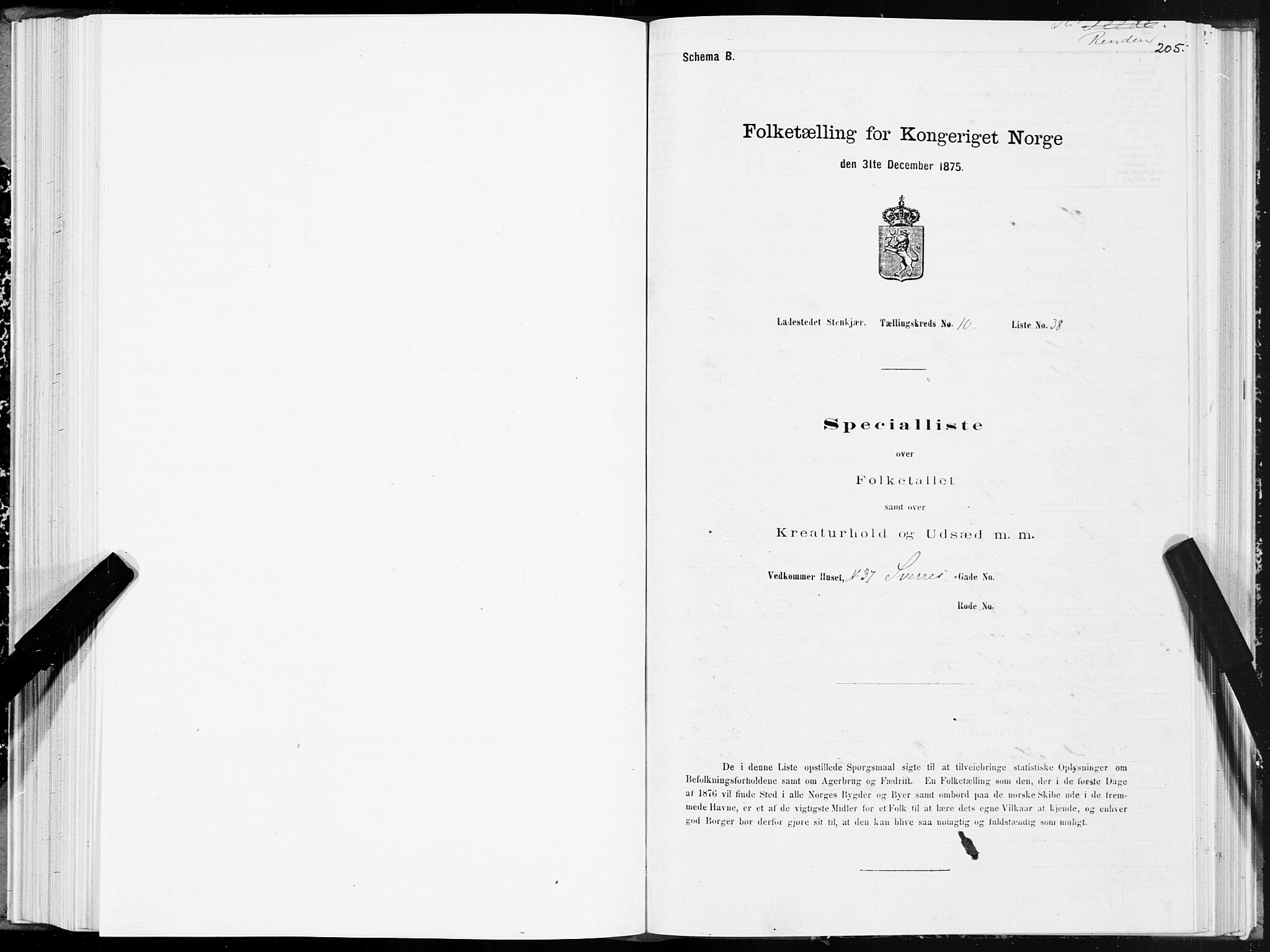 SAT, 1875 census for 1702B Steinkjer/Steinkjer, 1875, p. 205