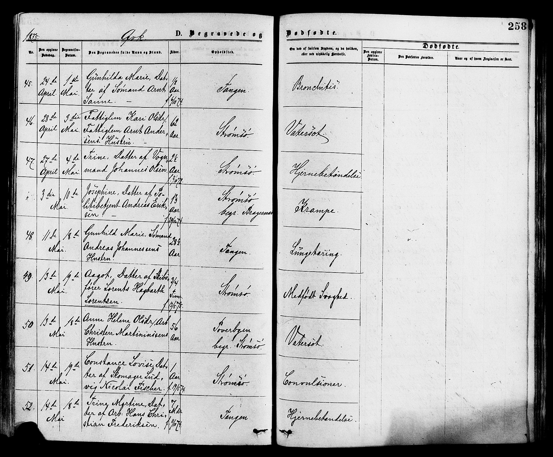 Strømsø kirkebøker, AV/SAKO-A-246/F/Fa/L0019: Parish register (official) no. I 19, 1874-1877, p. 258