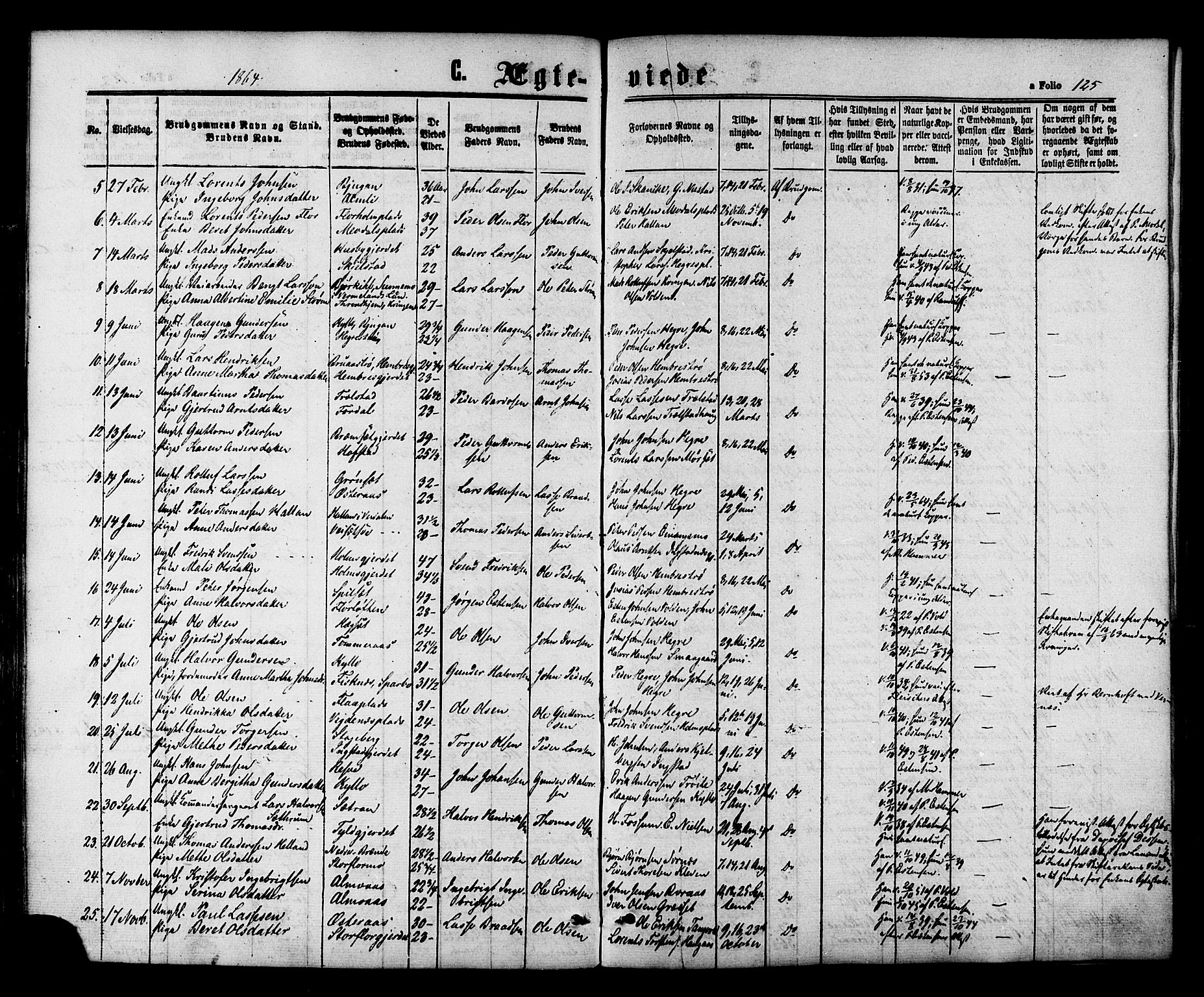Ministerialprotokoller, klokkerbøker og fødselsregistre - Nord-Trøndelag, SAT/A-1458/703/L0029: Parish register (official) no. 703A02, 1863-1879, p. 125
