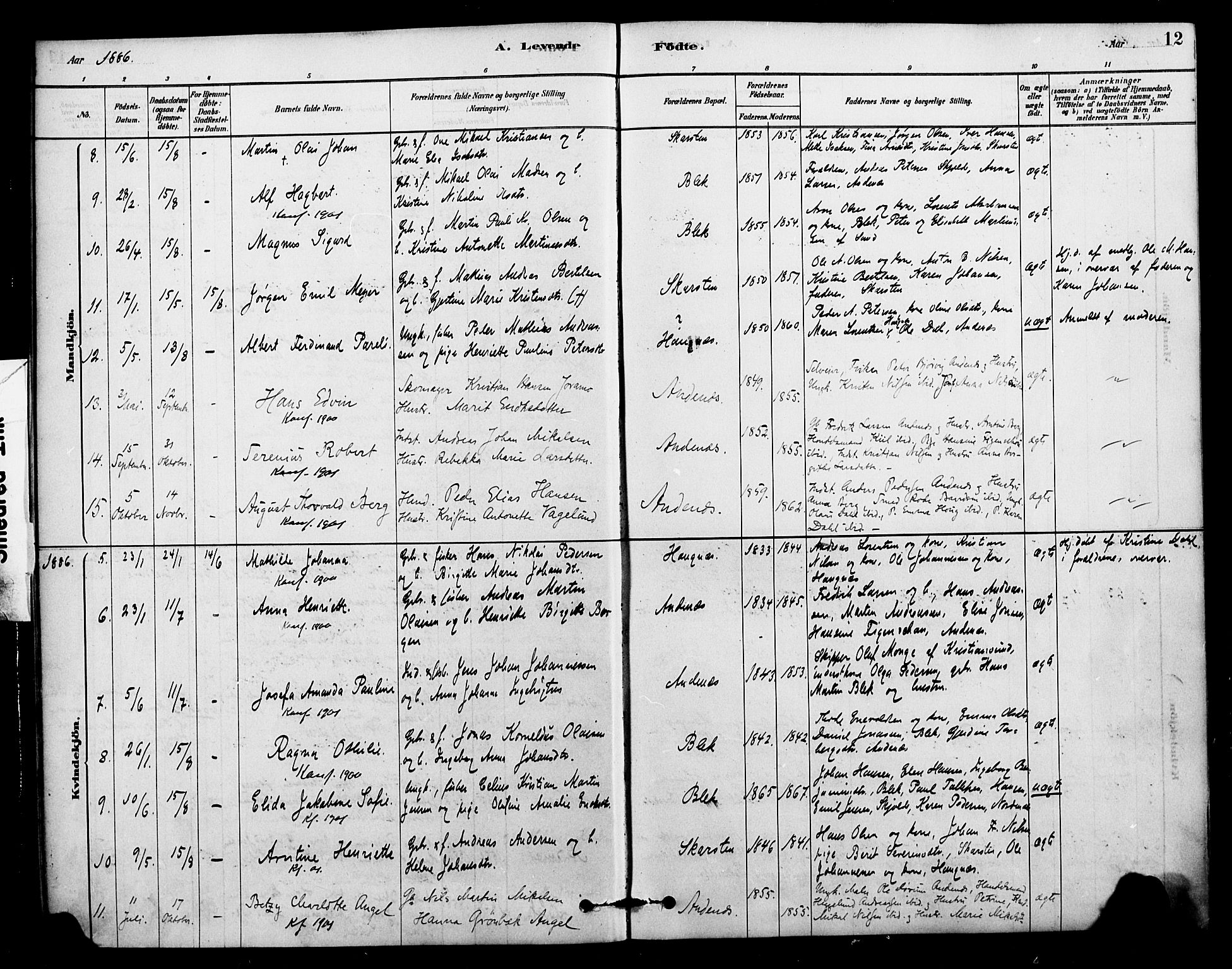 Ministerialprotokoller, klokkerbøker og fødselsregistre - Nordland, AV/SAT-A-1459/899/L1436: Parish register (official) no. 899A04, 1881-1896, p. 12