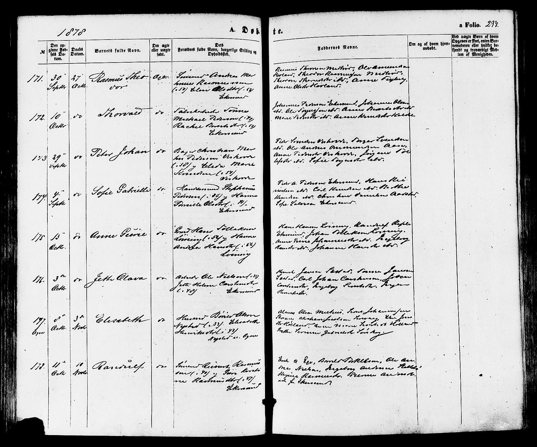 Eigersund sokneprestkontor, AV/SAST-A-101807/S08/L0014: Parish register (official) no. A 13, 1866-1878, p. 234