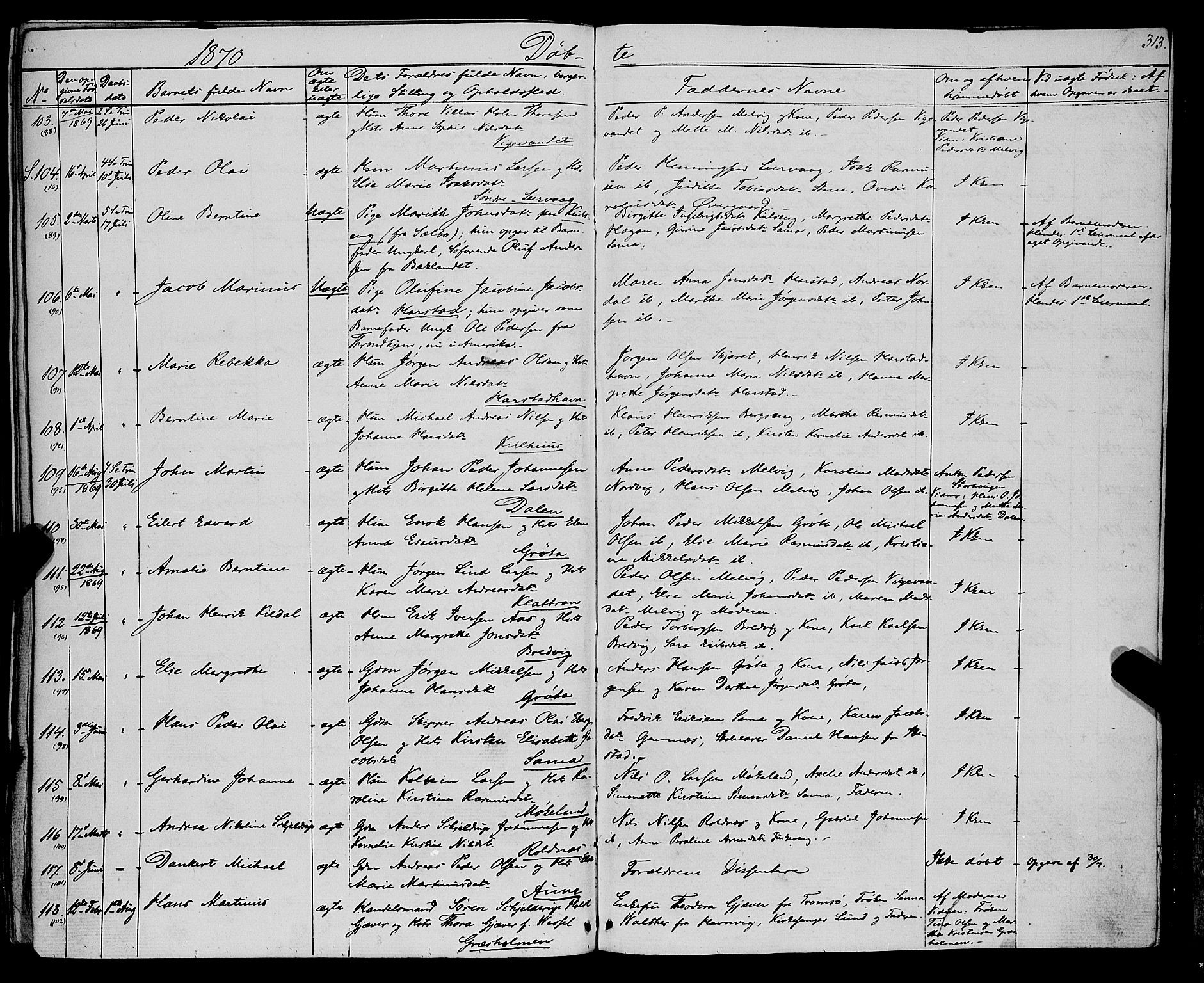 Trondenes sokneprestkontor, AV/SATØ-S-1319/H/Ha/L0012kirke: Parish register (official) no. 12, 1863-1870, p. 313