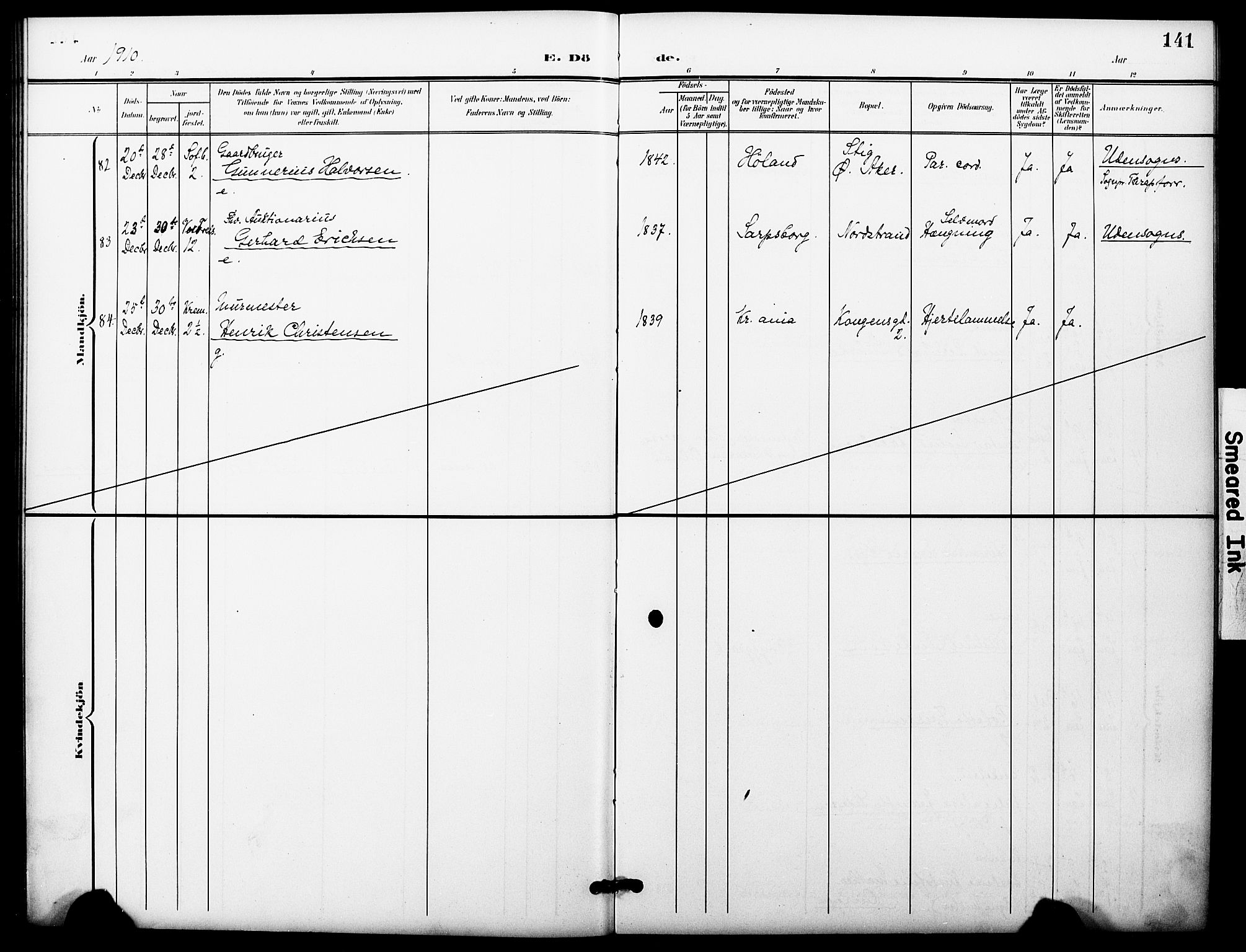Oslo domkirke Kirkebøker, SAO/A-10752/F/Fa/L0036: Parish register (official) no. 36, 1901-1919, p. 141