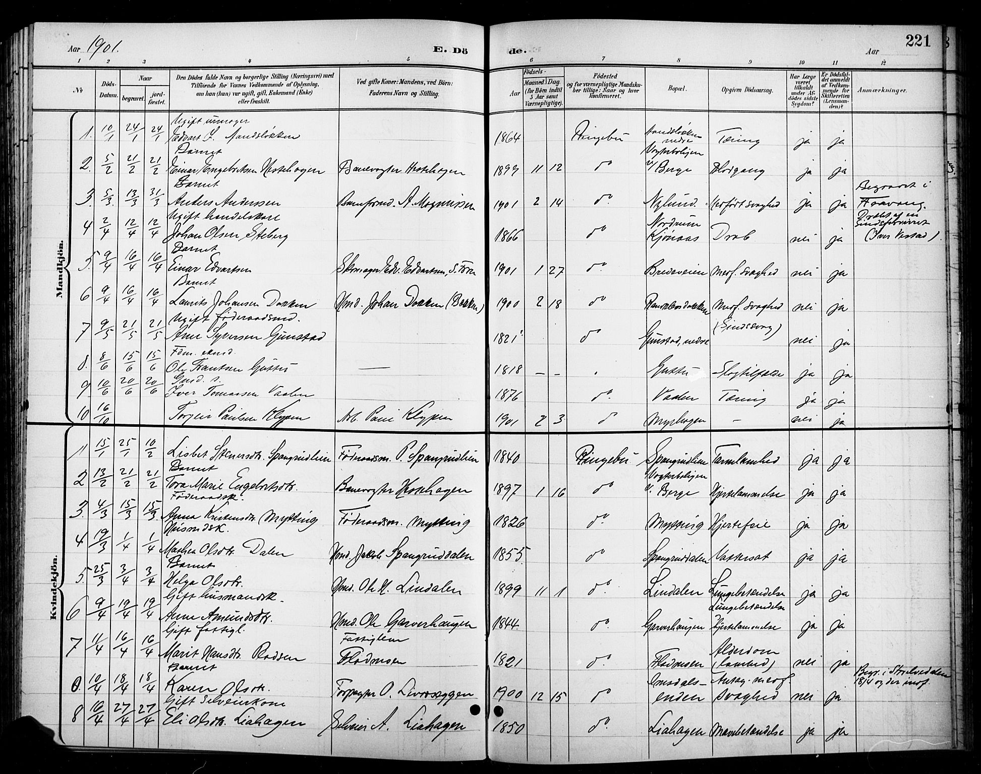 Ringebu prestekontor, SAH/PREST-082/H/Ha/Hab/L0009: Parish register (copy) no. 9, 1899-1921, p. 221