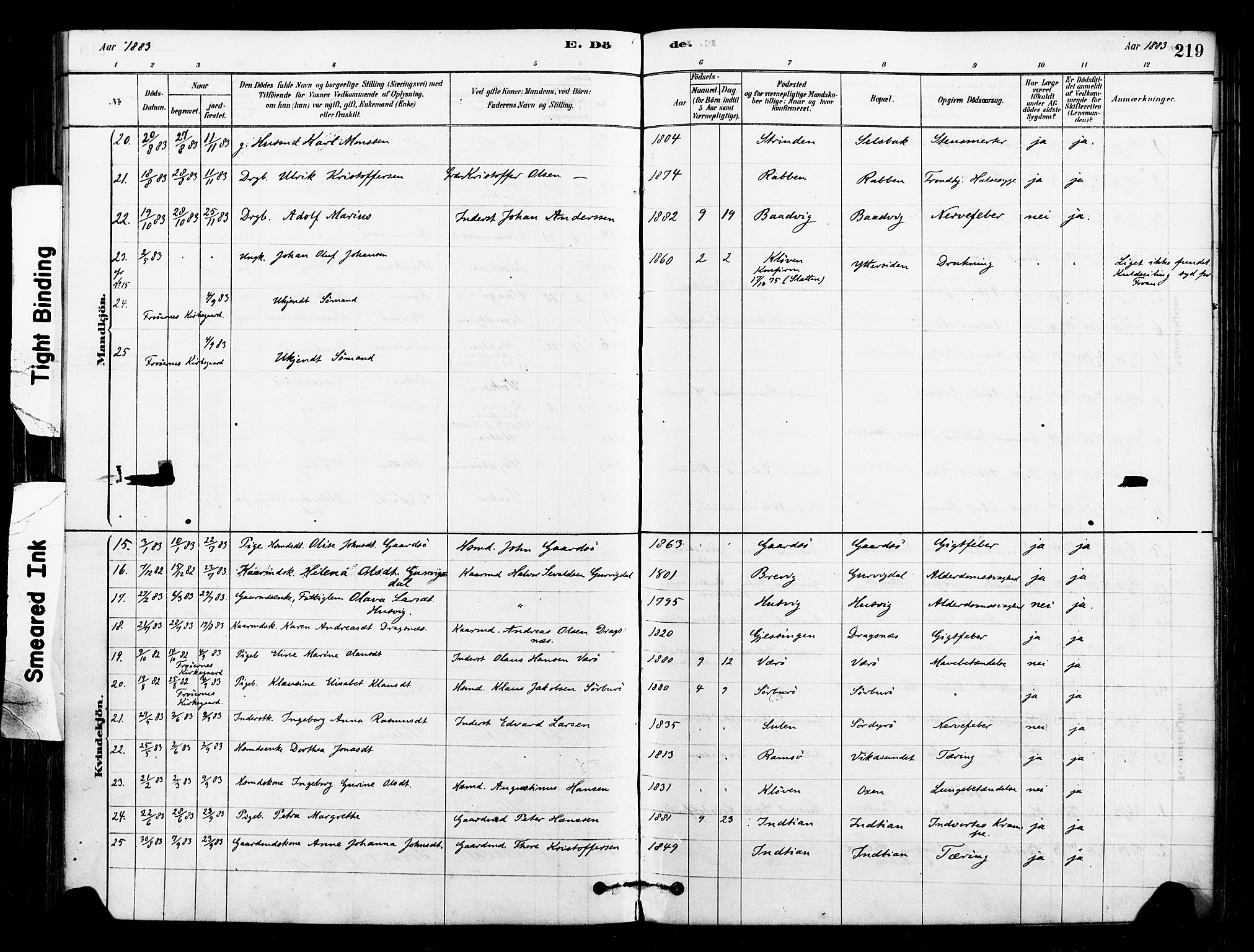 Ministerialprotokoller, klokkerbøker og fødselsregistre - Sør-Trøndelag, AV/SAT-A-1456/640/L0578: Parish register (official) no. 640A03, 1879-1889, p. 219