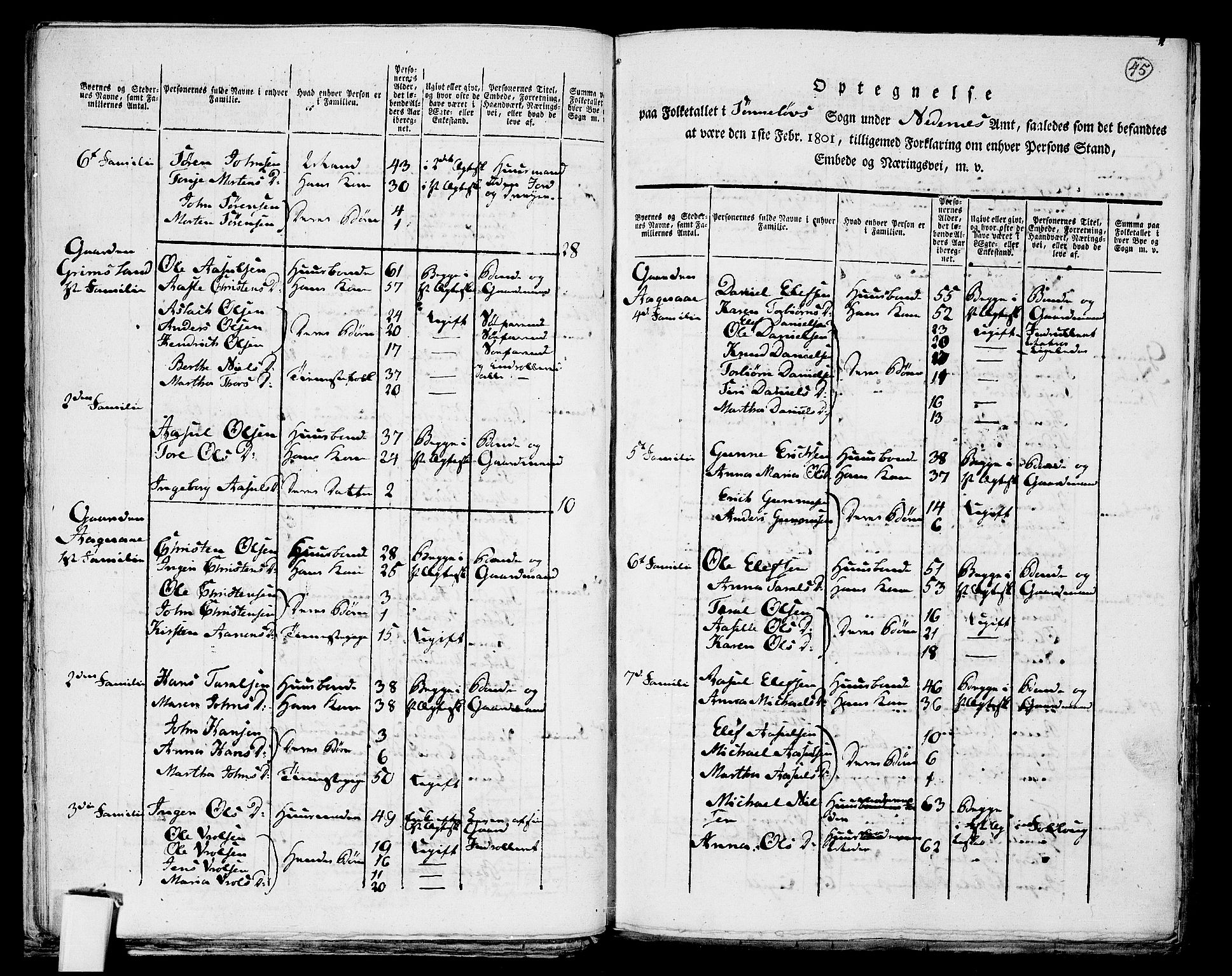 RA, 1801 census for 0901P Risør, 1801, p. 44b-45a