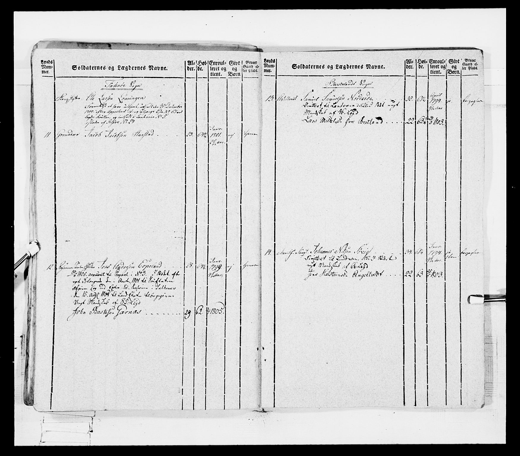 Generalitets- og kommissariatskollegiet, Det kongelige norske kommissariatskollegium, AV/RA-EA-5420/E/Eh/L0096: Bergenhusiske nasjonale infanteriregiment, 1791-1803, p. 349