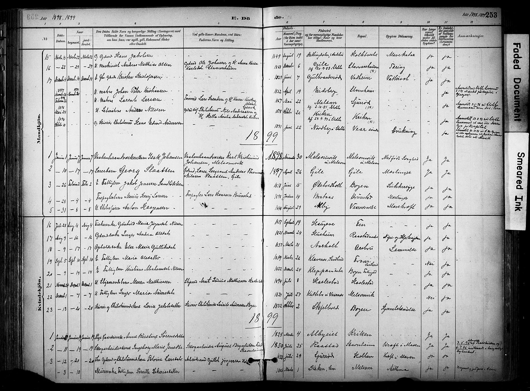 Stokke kirkebøker, SAKO/A-320/F/Fa/L0010: Parish register (official) no. I 10, 1884-1903, p. 253
