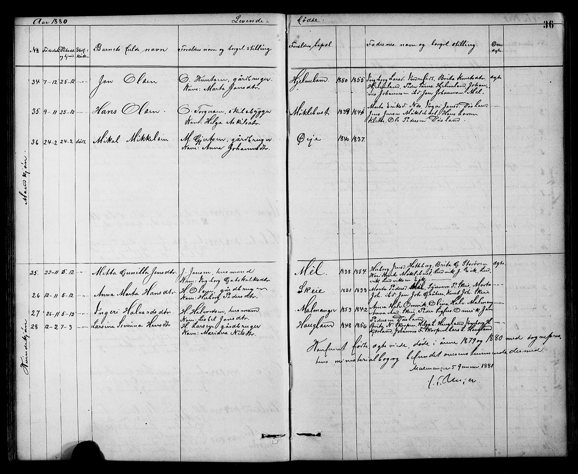 Kvinnherad sokneprestembete, AV/SAB-A-76401/H/Hab: Parish register (copy) no. A 2, 1873-1900, p. 36