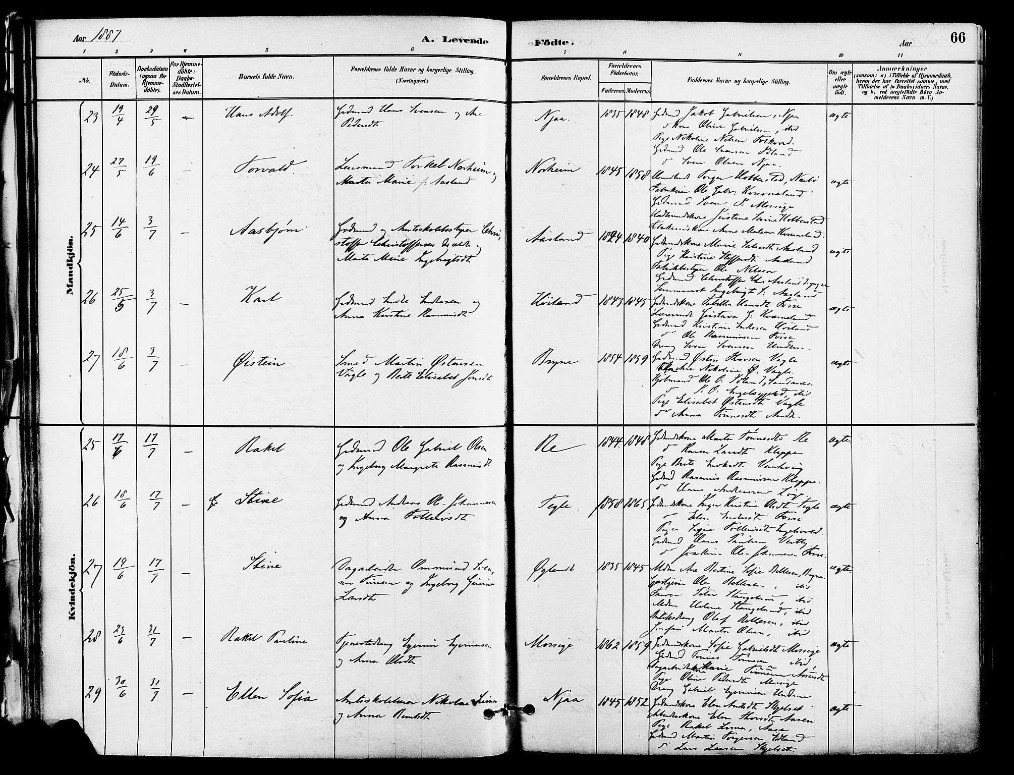 Lye sokneprestkontor, SAST/A-101794/001/30BA/L0009: Parish register (official) no. A 8, 1881-1892, p. 66