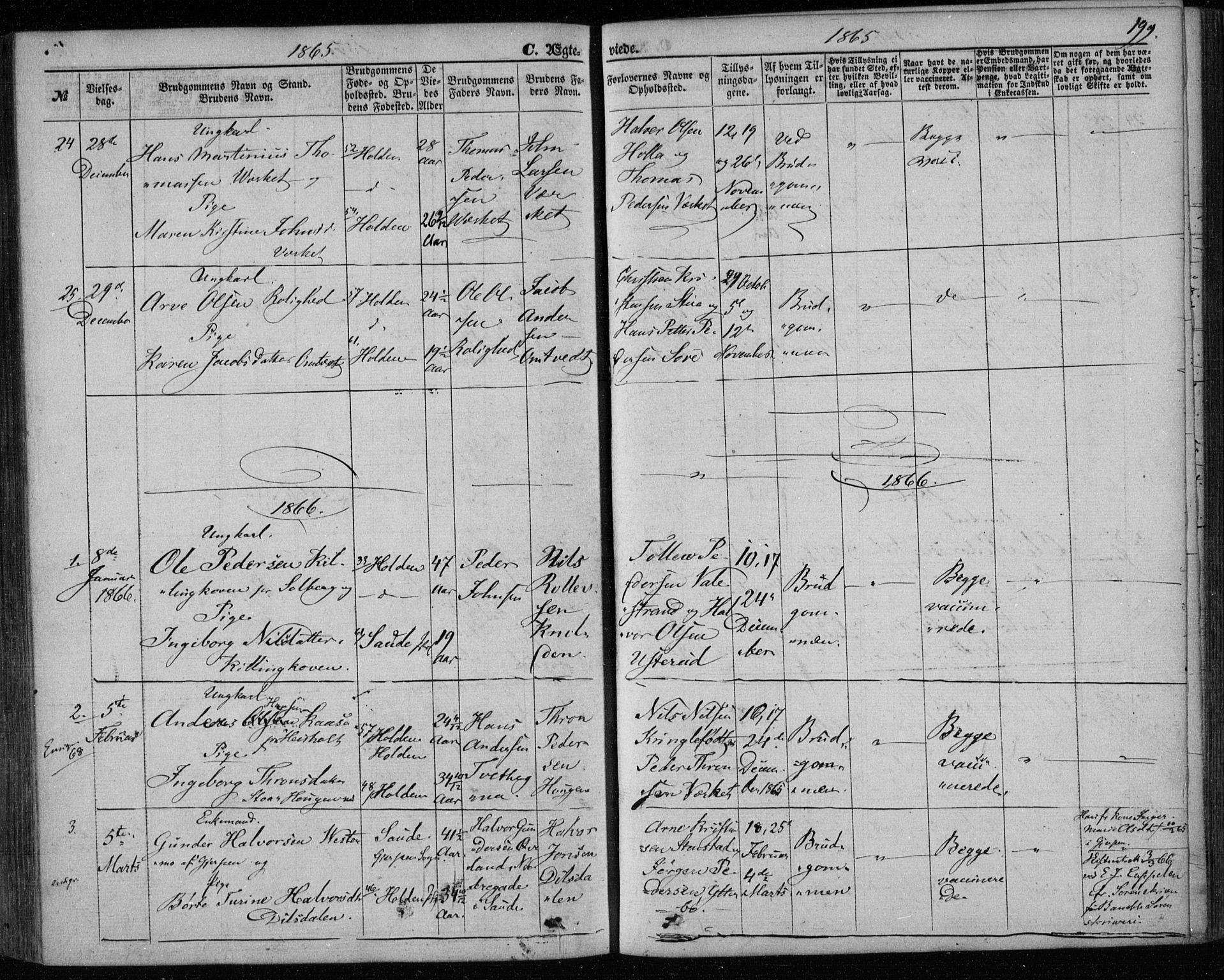 Holla kirkebøker, SAKO/A-272/F/Fa/L0006: Parish register (official) no. 6, 1861-1869, p. 199