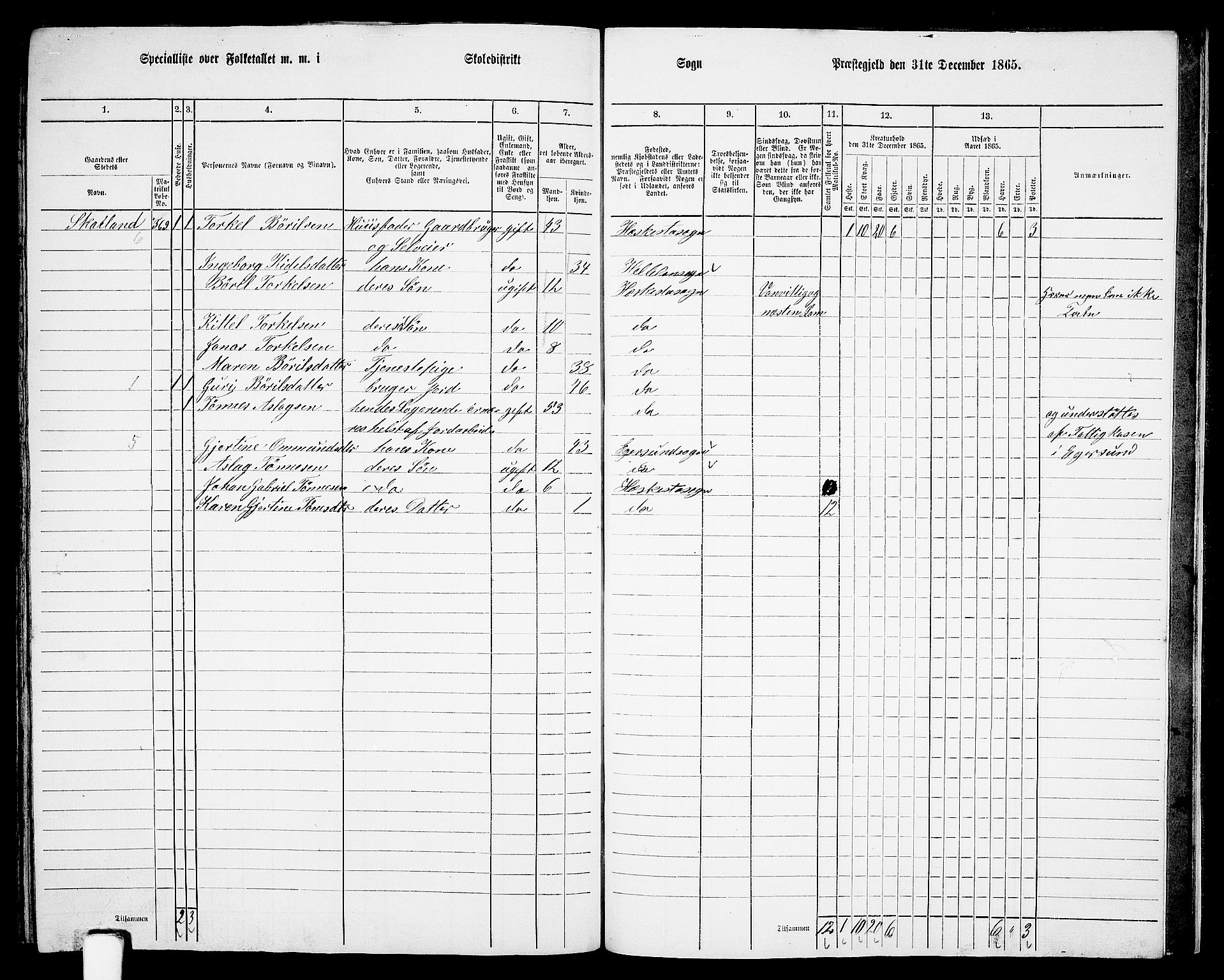 RA, 1865 census for Lund, 1865, p. 106