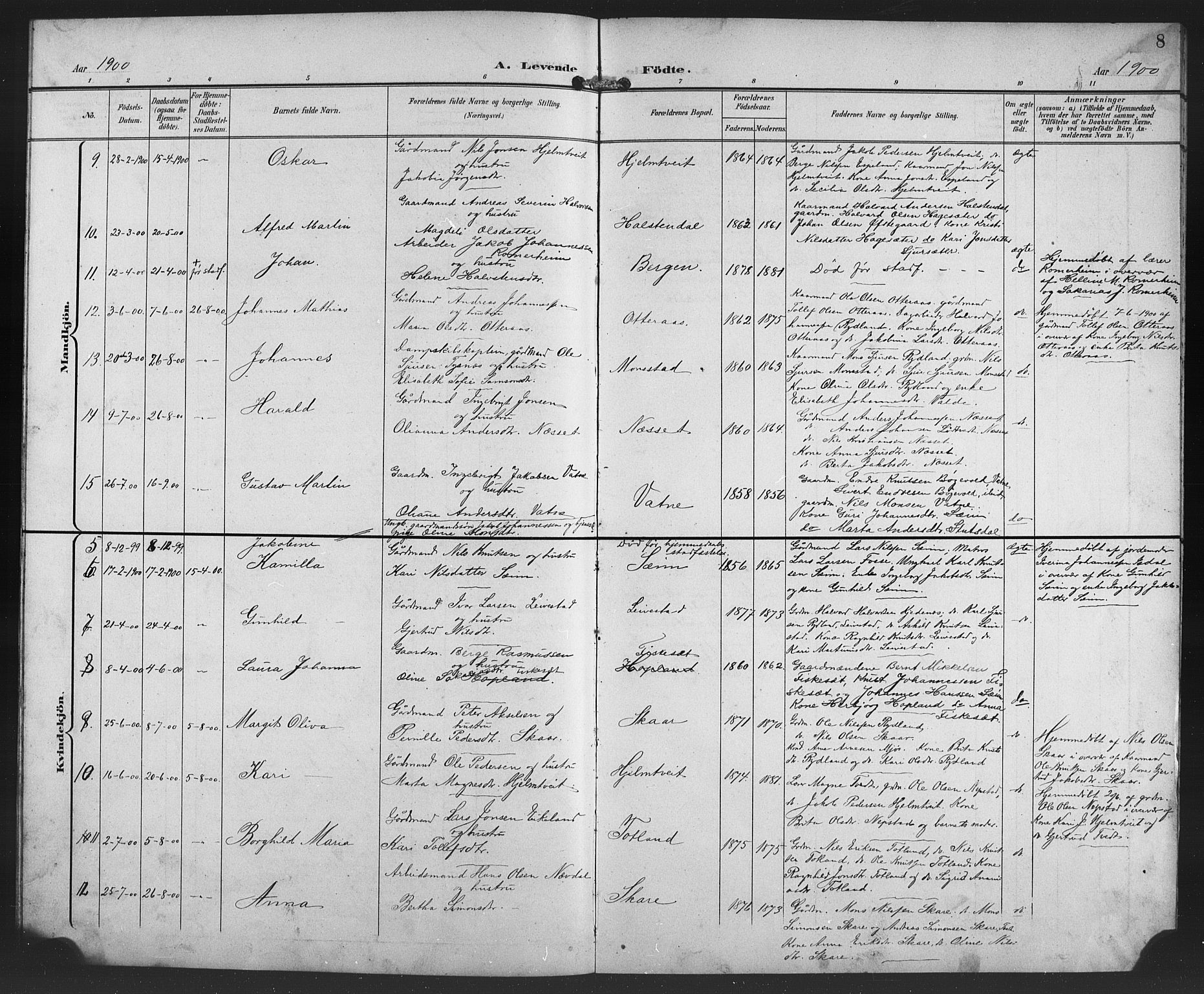 Alversund Sokneprestembete, SAB/A-73901/H/Ha/Haa/Haad/L0003: Parish register (official) no. D 3, 1899-1908, p. 8