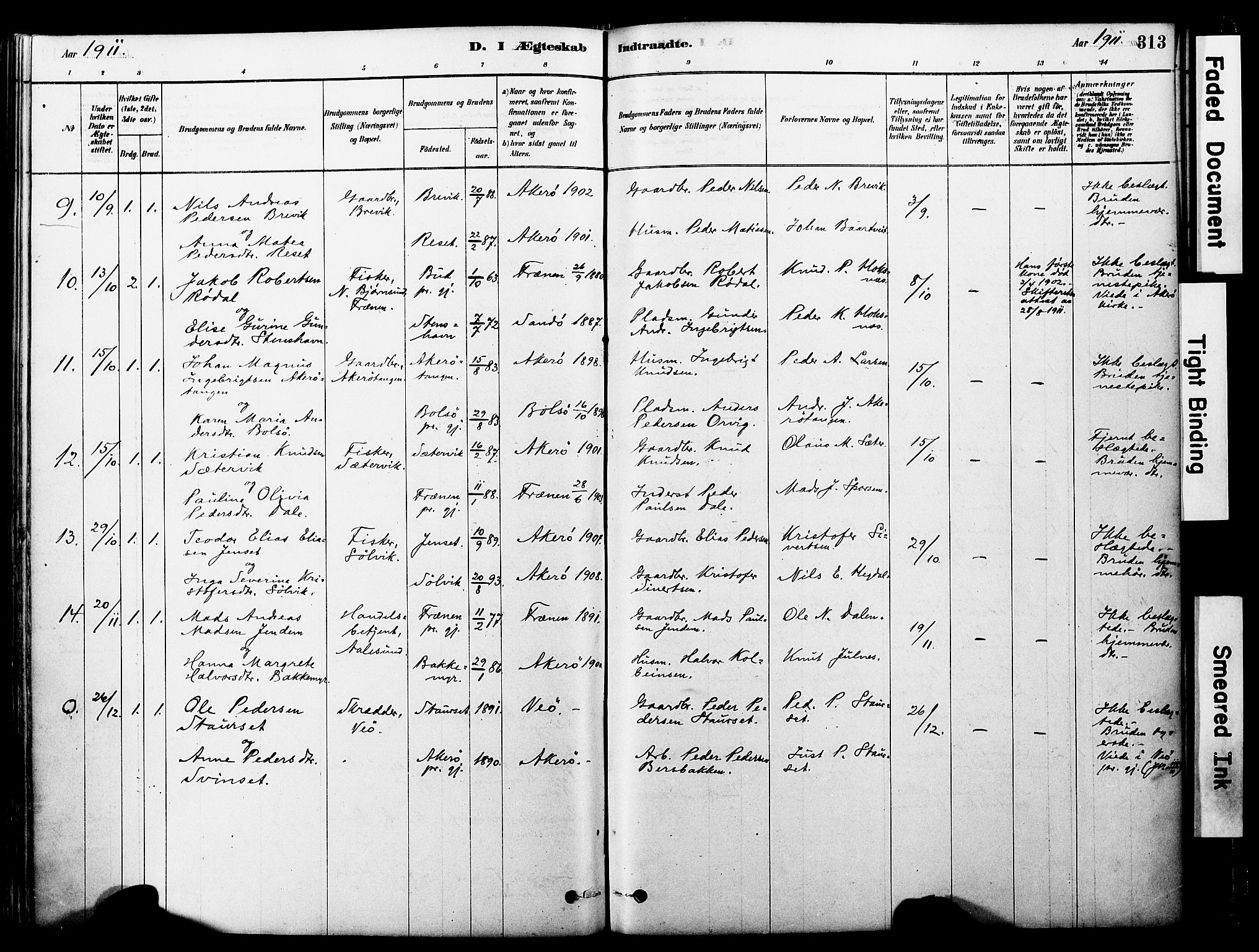 Ministerialprotokoller, klokkerbøker og fødselsregistre - Møre og Romsdal, SAT/A-1454/560/L0721: Parish register (official) no. 560A05, 1878-1917, p. 313