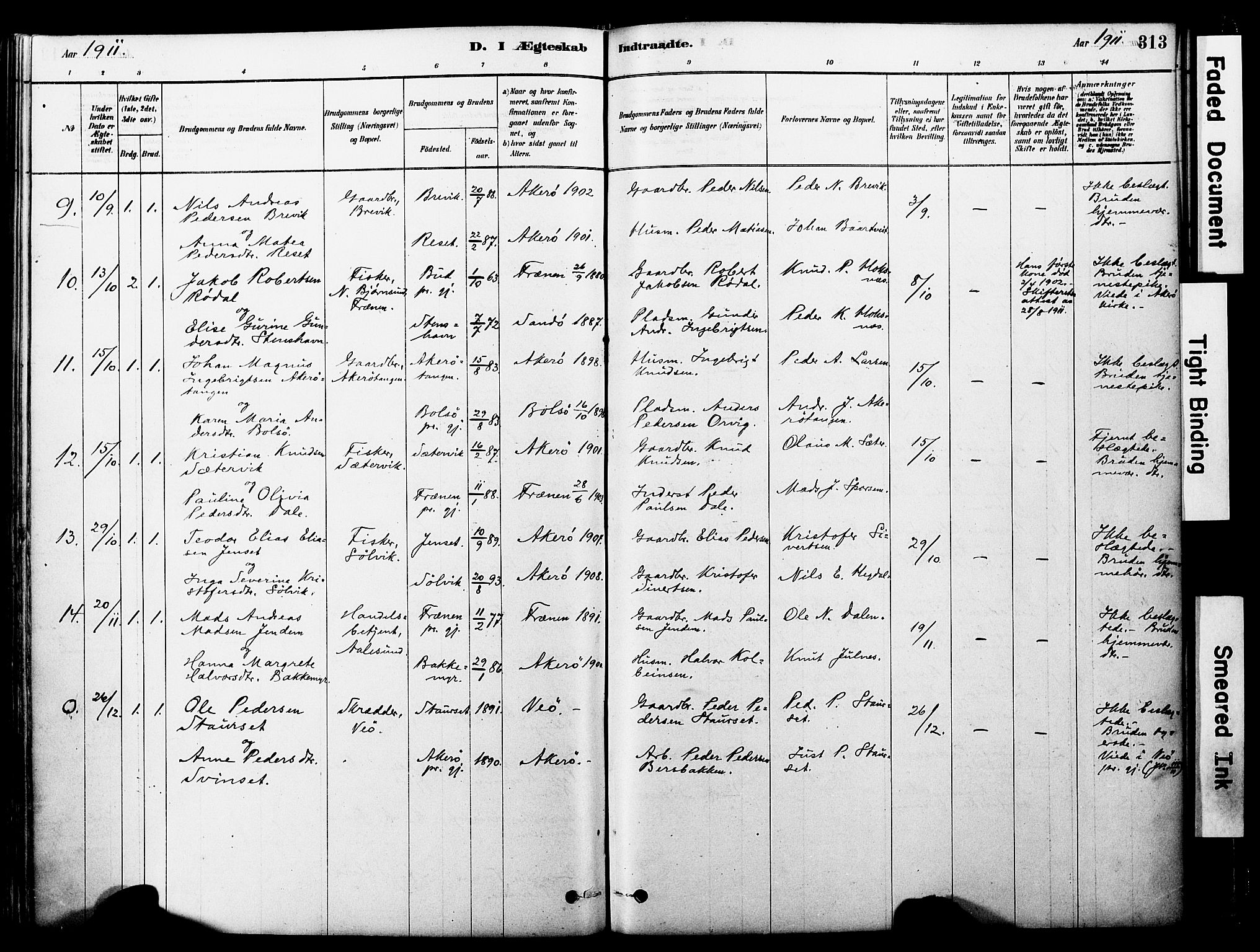 Ministerialprotokoller, klokkerbøker og fødselsregistre - Møre og Romsdal, AV/SAT-A-1454/560/L0721: Parish register (official) no. 560A05, 1878-1917, p. 313