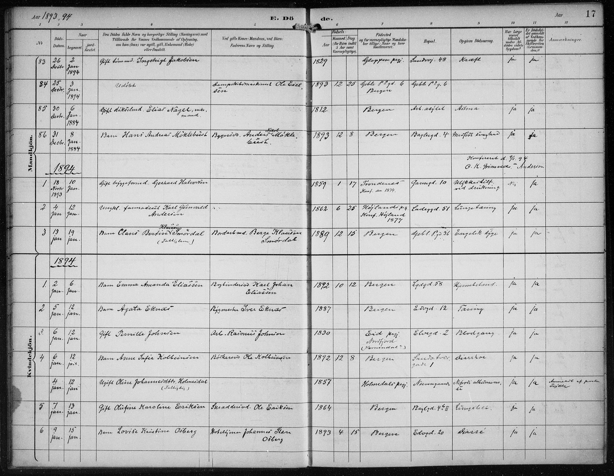 Sandviken Sokneprestembete, SAB/A-77601/H/Ha/L0018: Parish register (official) no. E 1, 1893-1905, p. 17