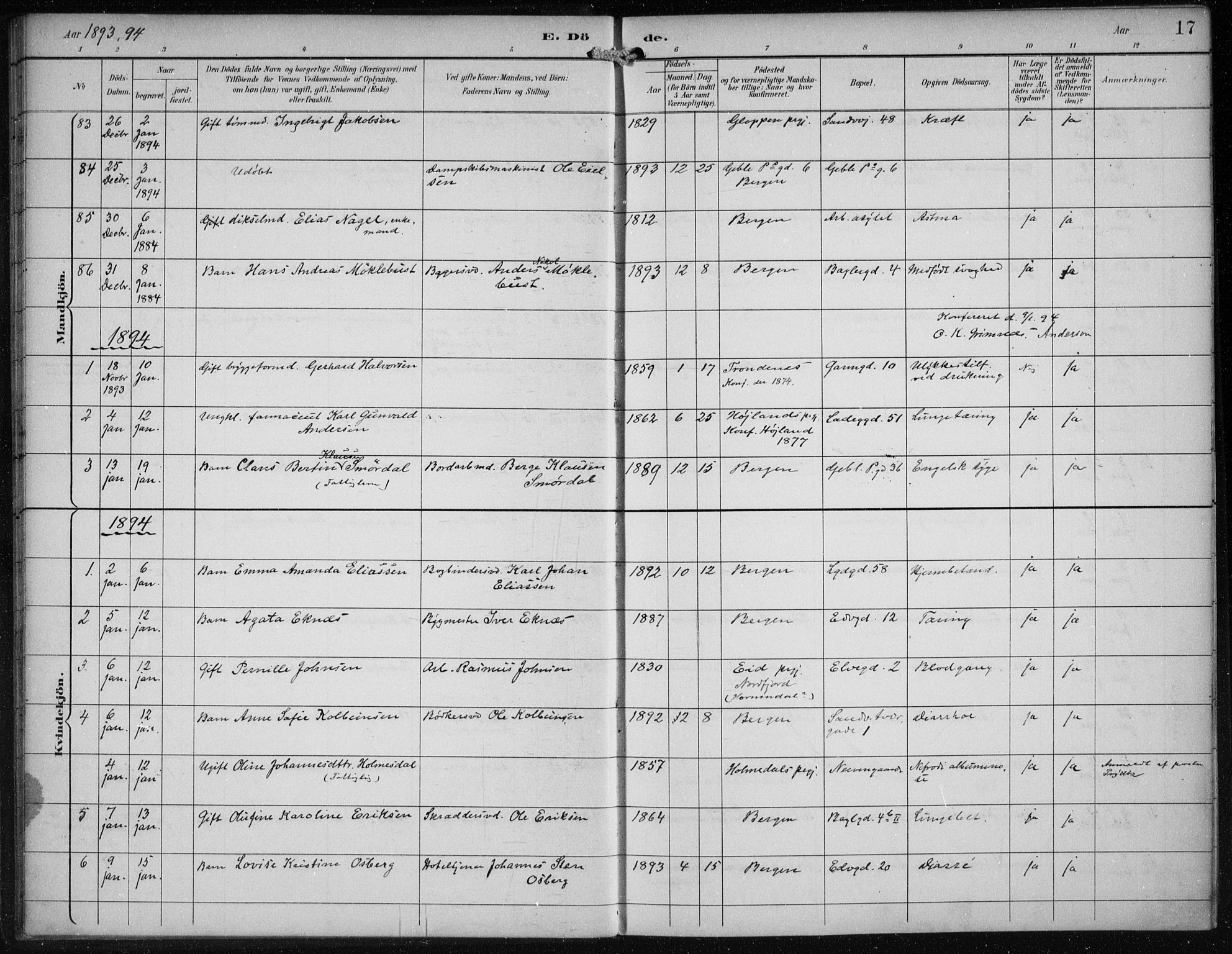 Sandviken Sokneprestembete, AV/SAB-A-77601/H/Ha/L0018: Parish register (official) no. E 1, 1893-1905, p. 17