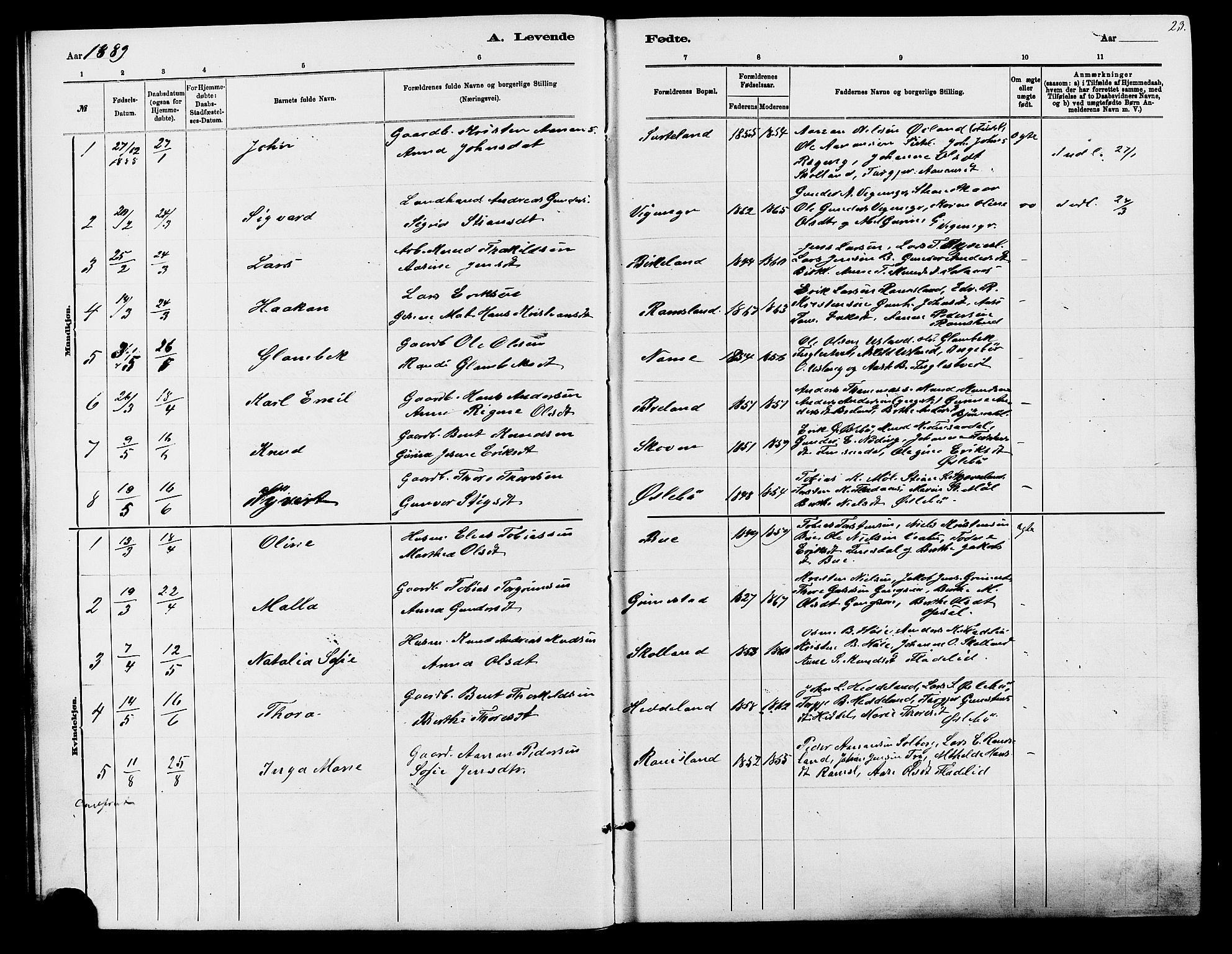 Holum sokneprestkontor, AV/SAK-1111-0022/F/Fb/Fbc/L0003: Parish register (copy) no. B 3, 1882-1908, p. 23