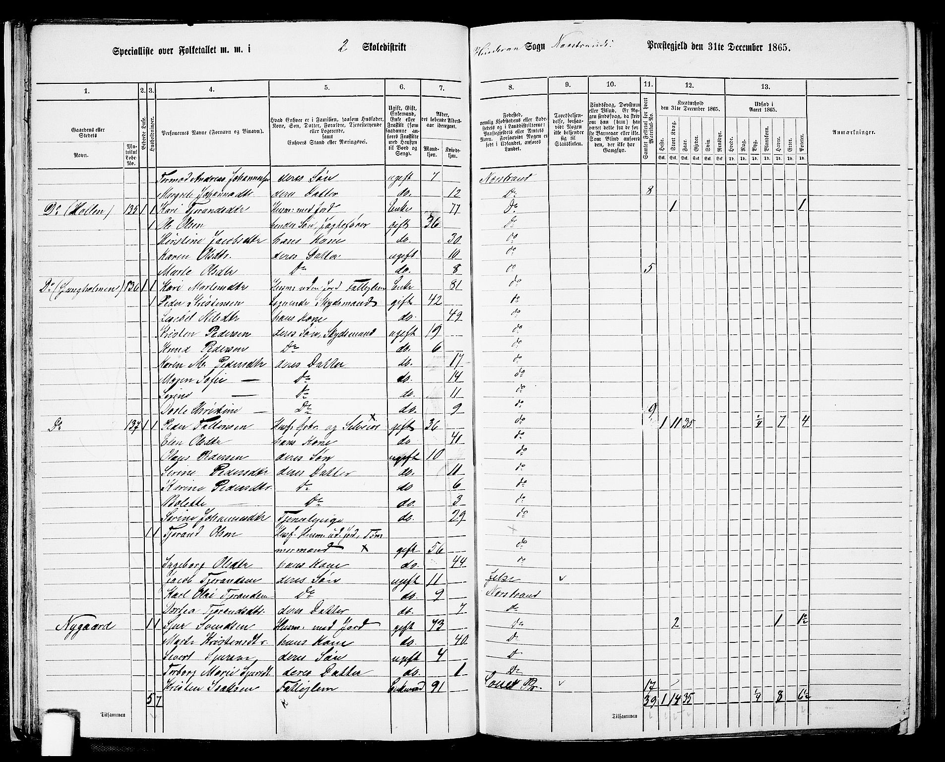 RA, 1865 census for Nedstrand, 1865, p. 35