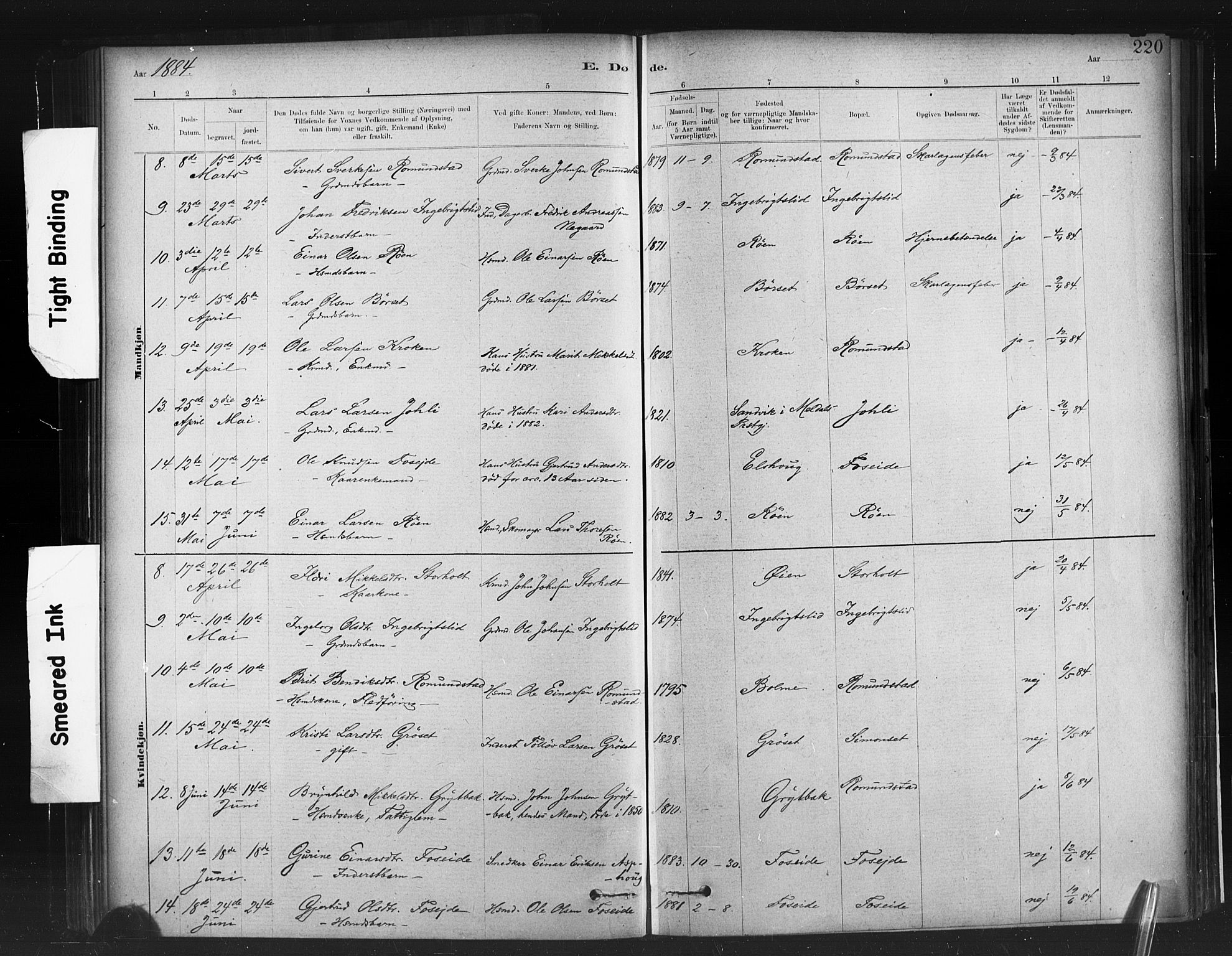 Ministerialprotokoller, klokkerbøker og fødselsregistre - Møre og Romsdal, AV/SAT-A-1454/598/L1069: Parish register (official) no. 598A03, 1882-1895, p. 220