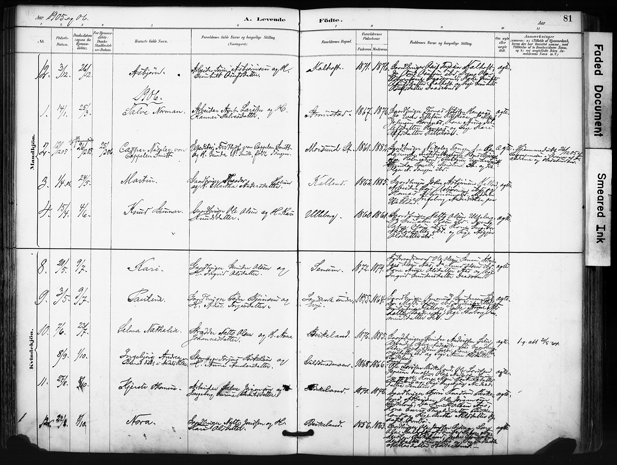 Evje sokneprestkontor, AV/SAK-1111-0008/F/Fa/Fab/L0003: Parish register (official) no. A 3, 1884-1909, p. 81